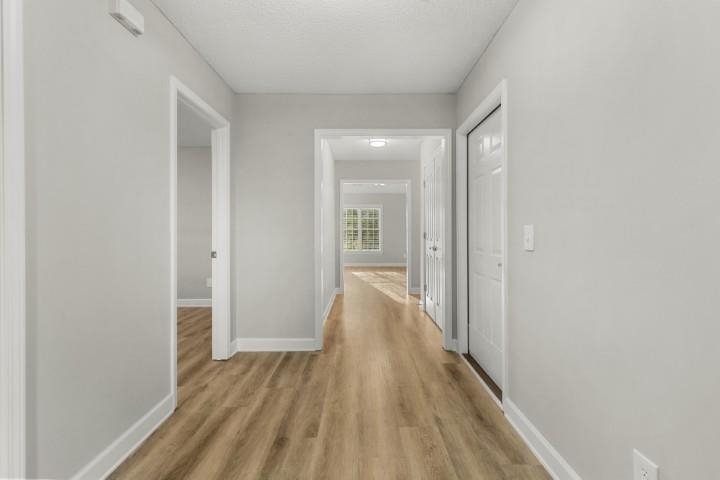 2613938 | Photo 2