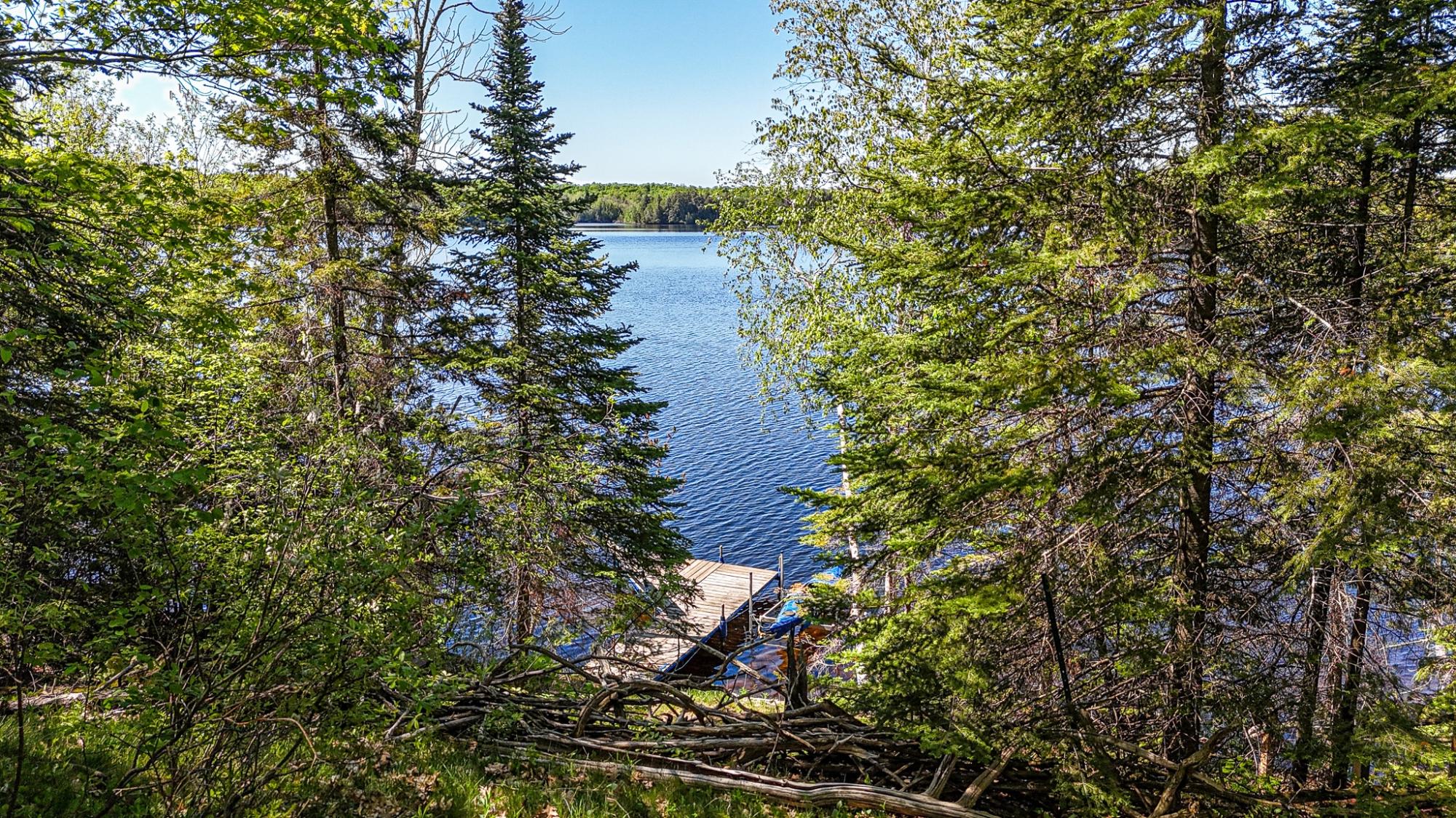 Armour Lake Property 11383 Bartsch Rd Photo 7