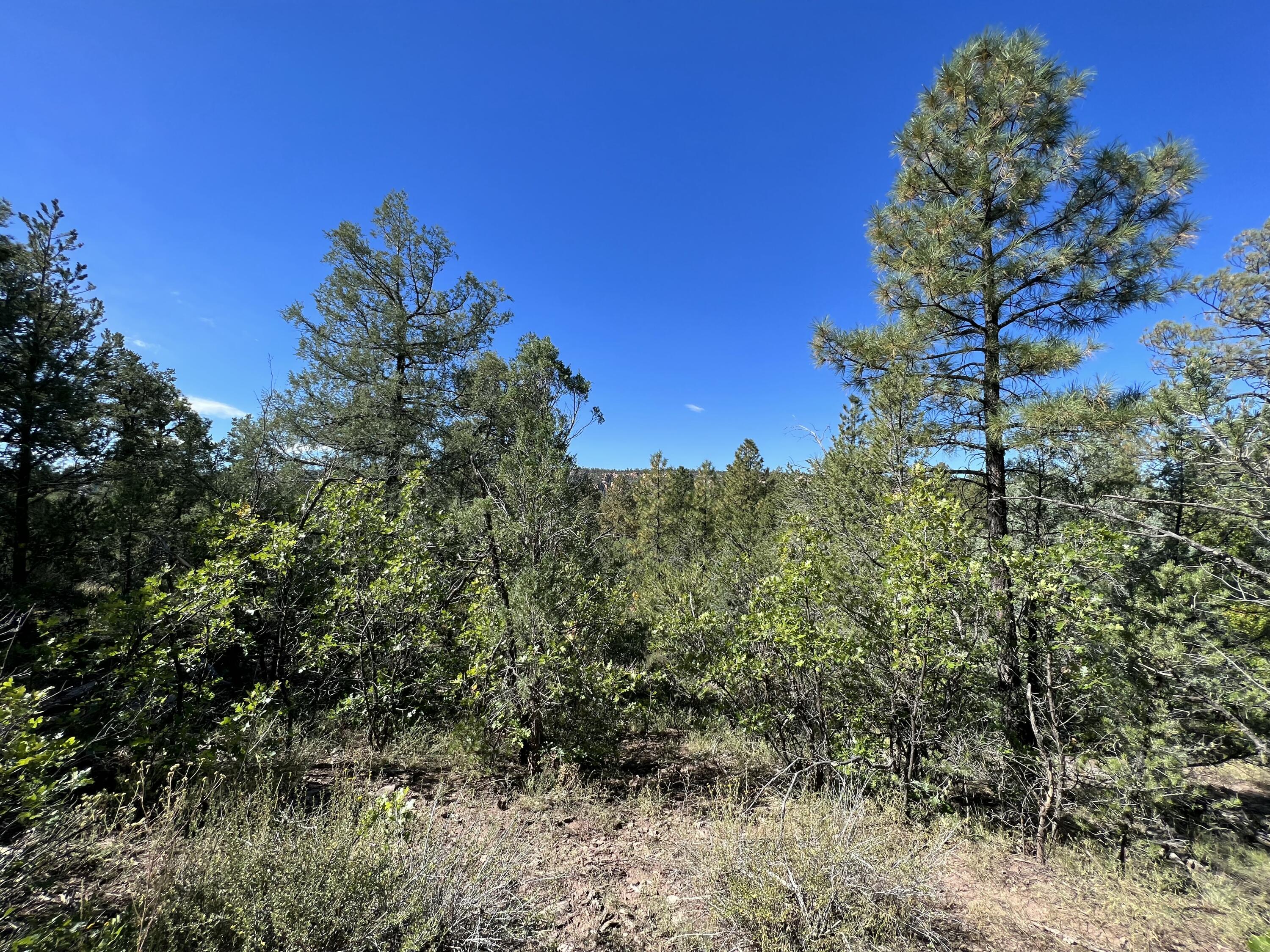 Photo 16 — 18 Quail Drive