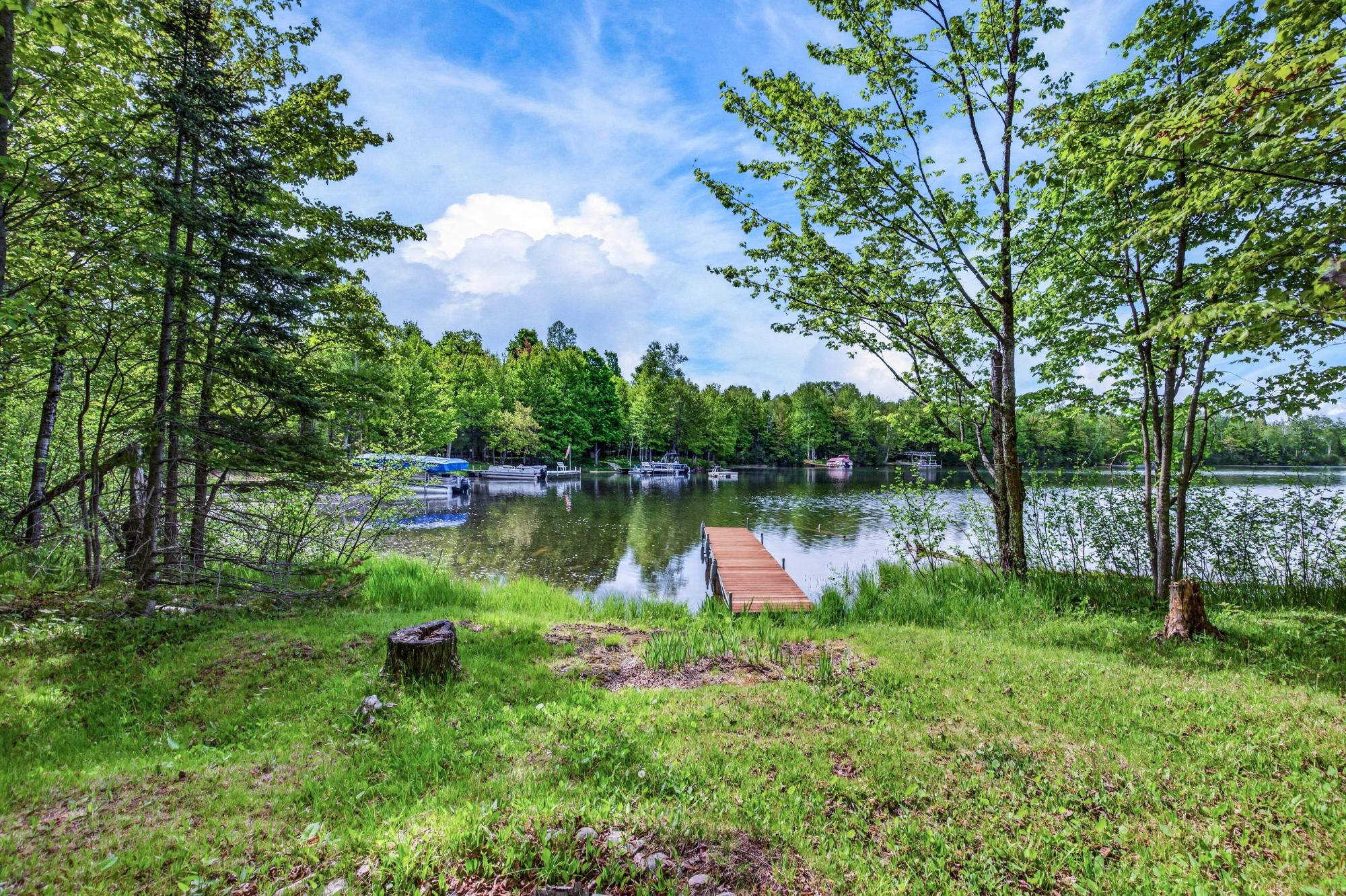 Cochran Lake (LDF) Property N16379 Cys Dr Photo 29