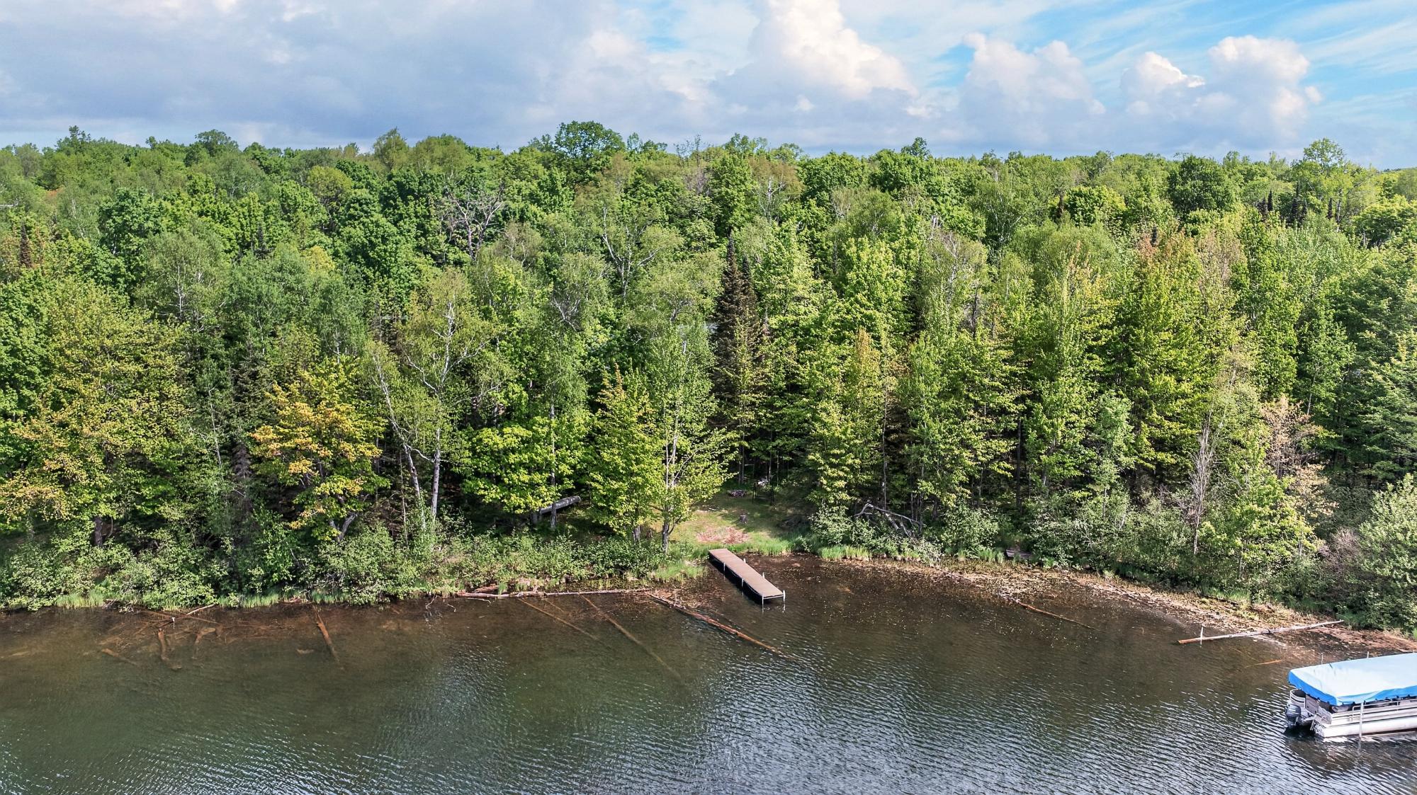 Cochran Lake (LDF) Property N16379 Cys Dr Photo 40