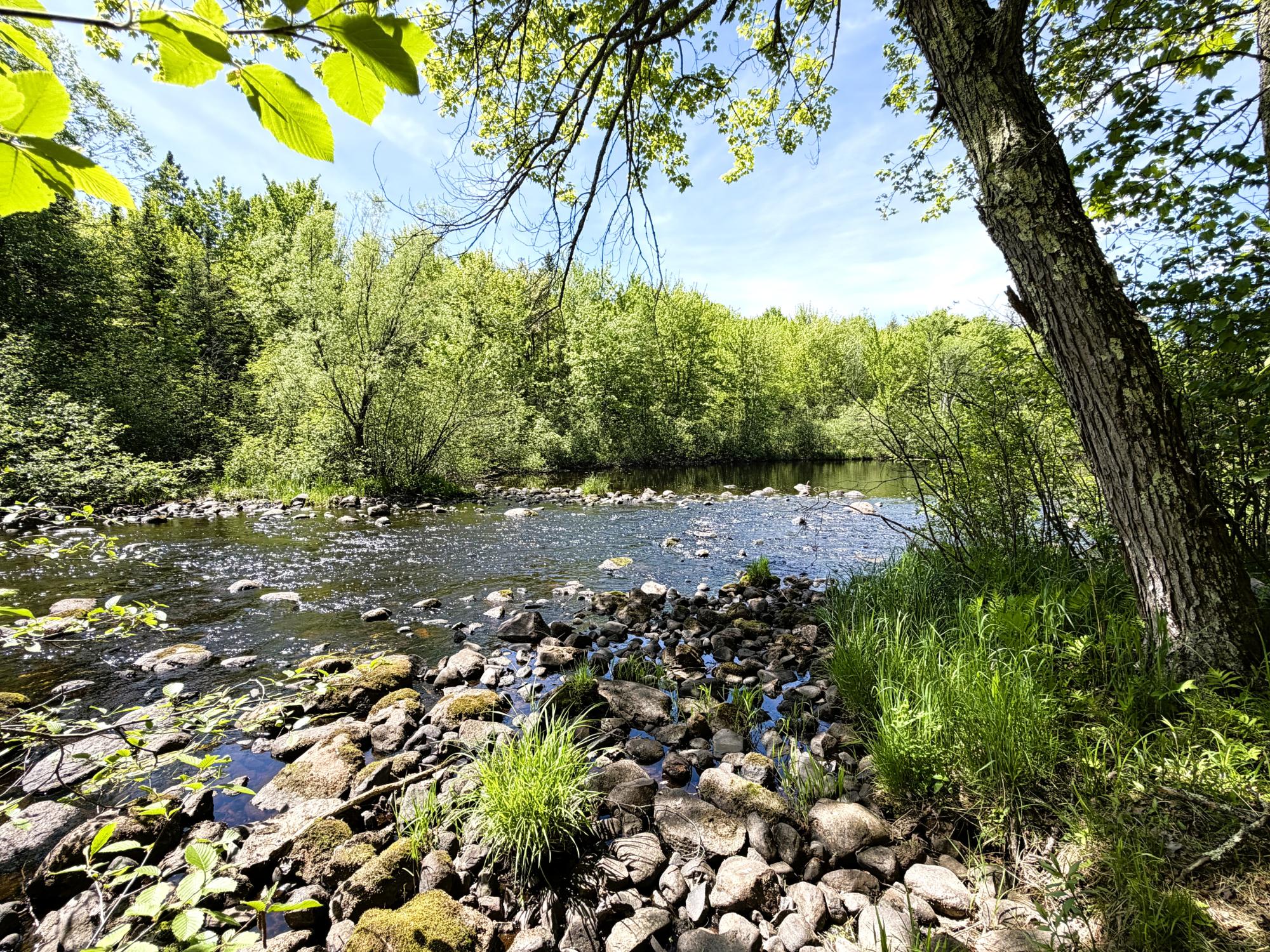 River Property Property W6980 Dam Rd Photo 36