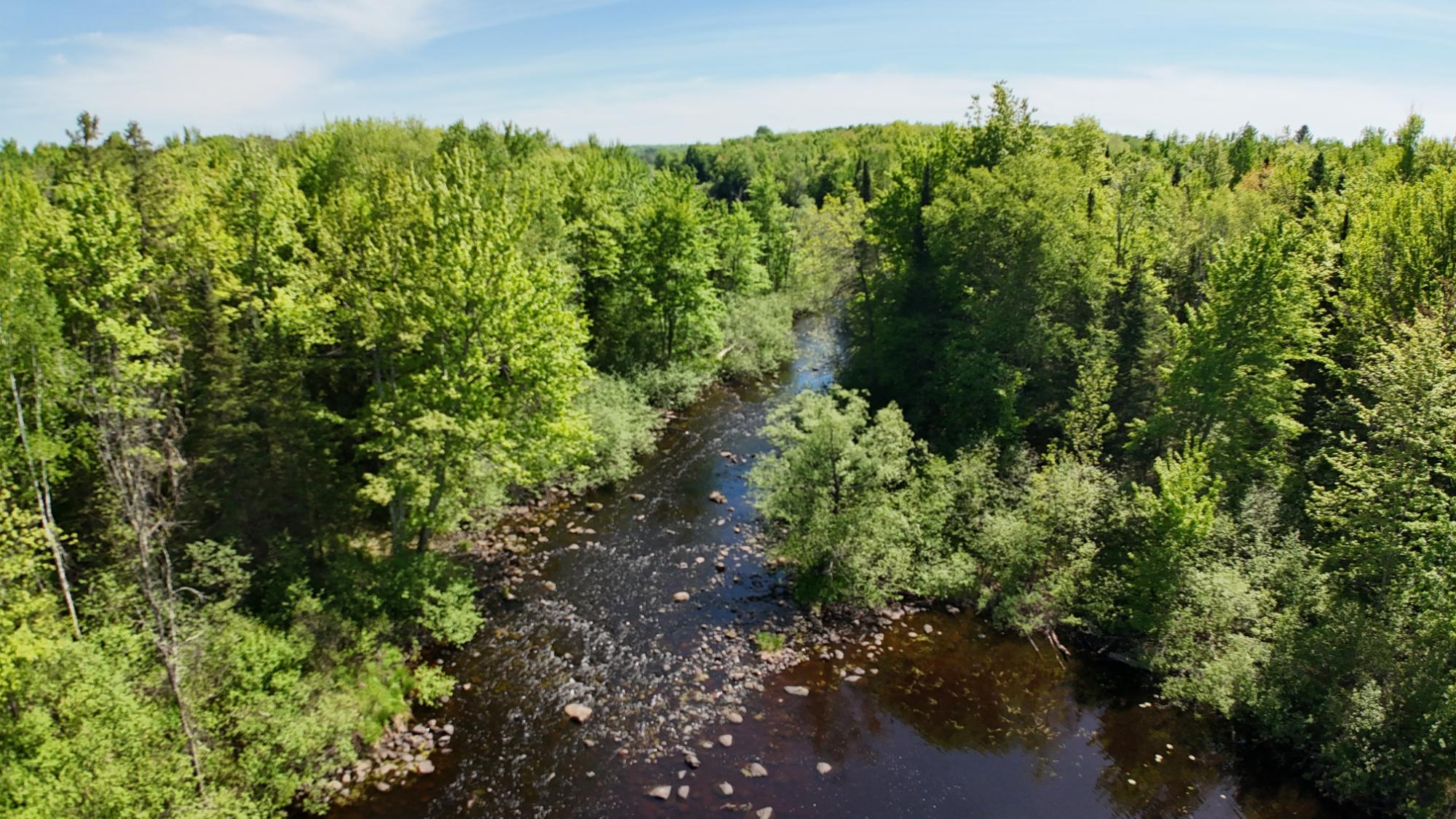 River Property Property W6980 Dam Rd Photo 42