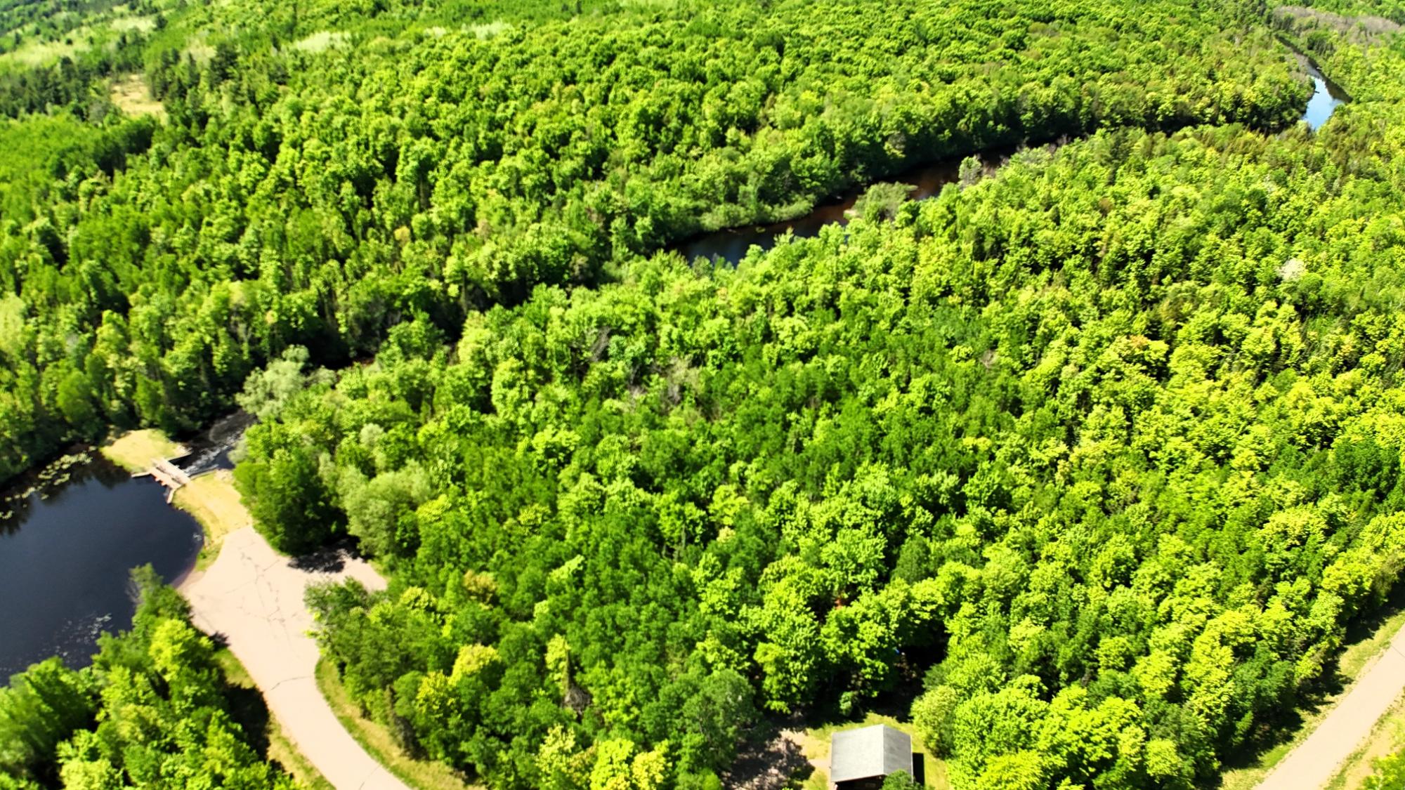 River Property Property W6980 Dam Rd Photo 46