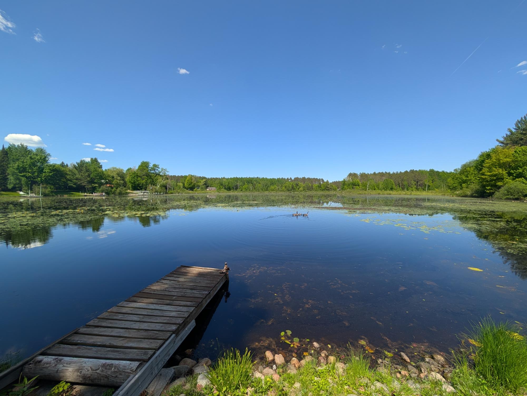 Solberg Lake Property N11068 Pine Tree Ln Photo 3