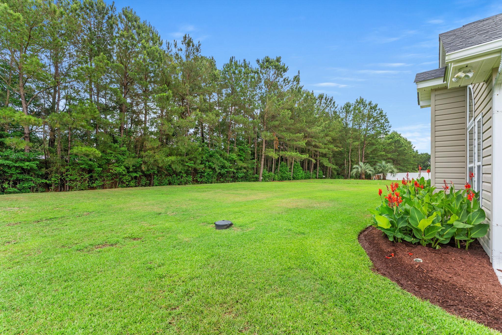 2614118 | Photo 4