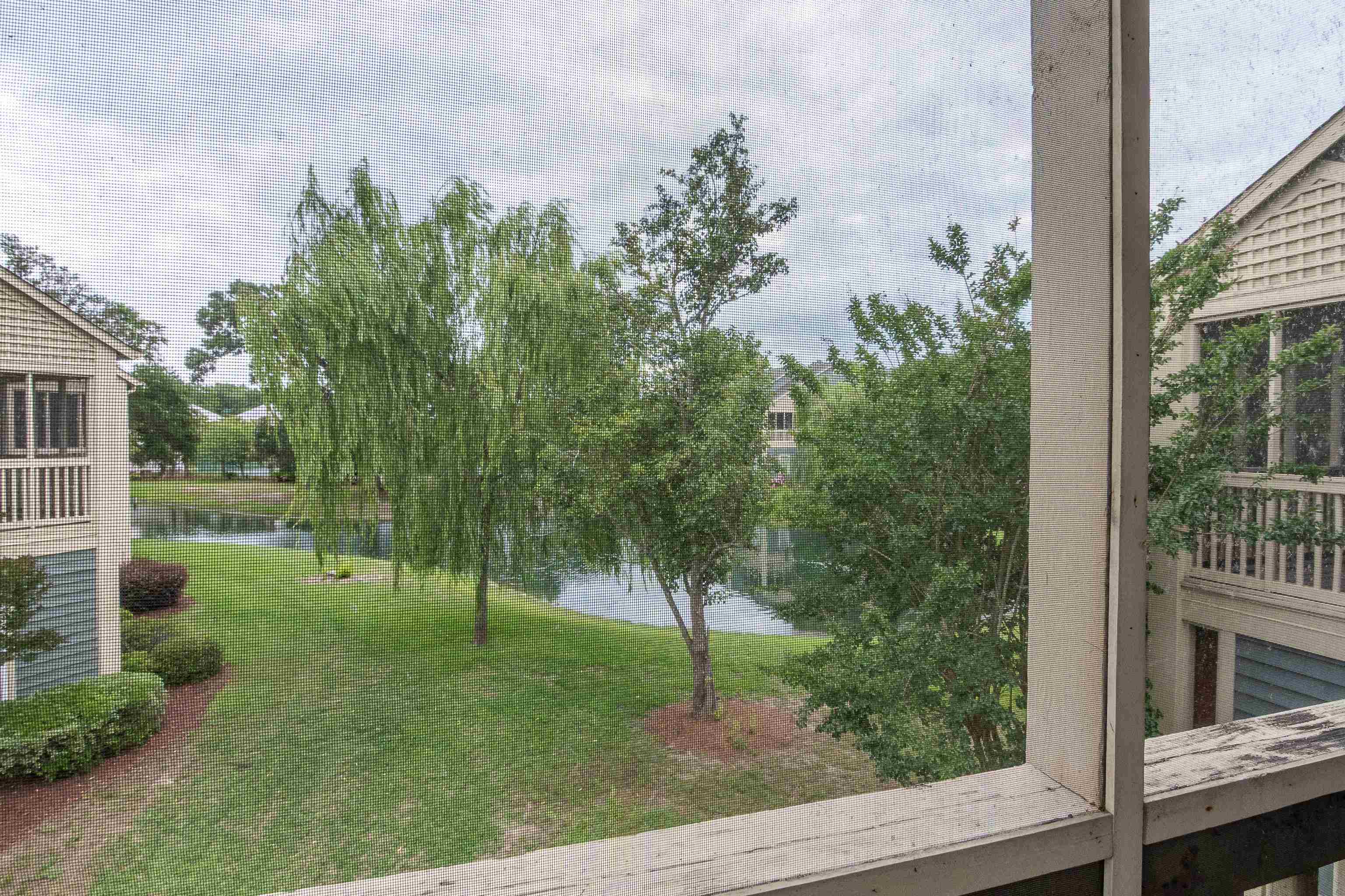 2614143 | Photo 14