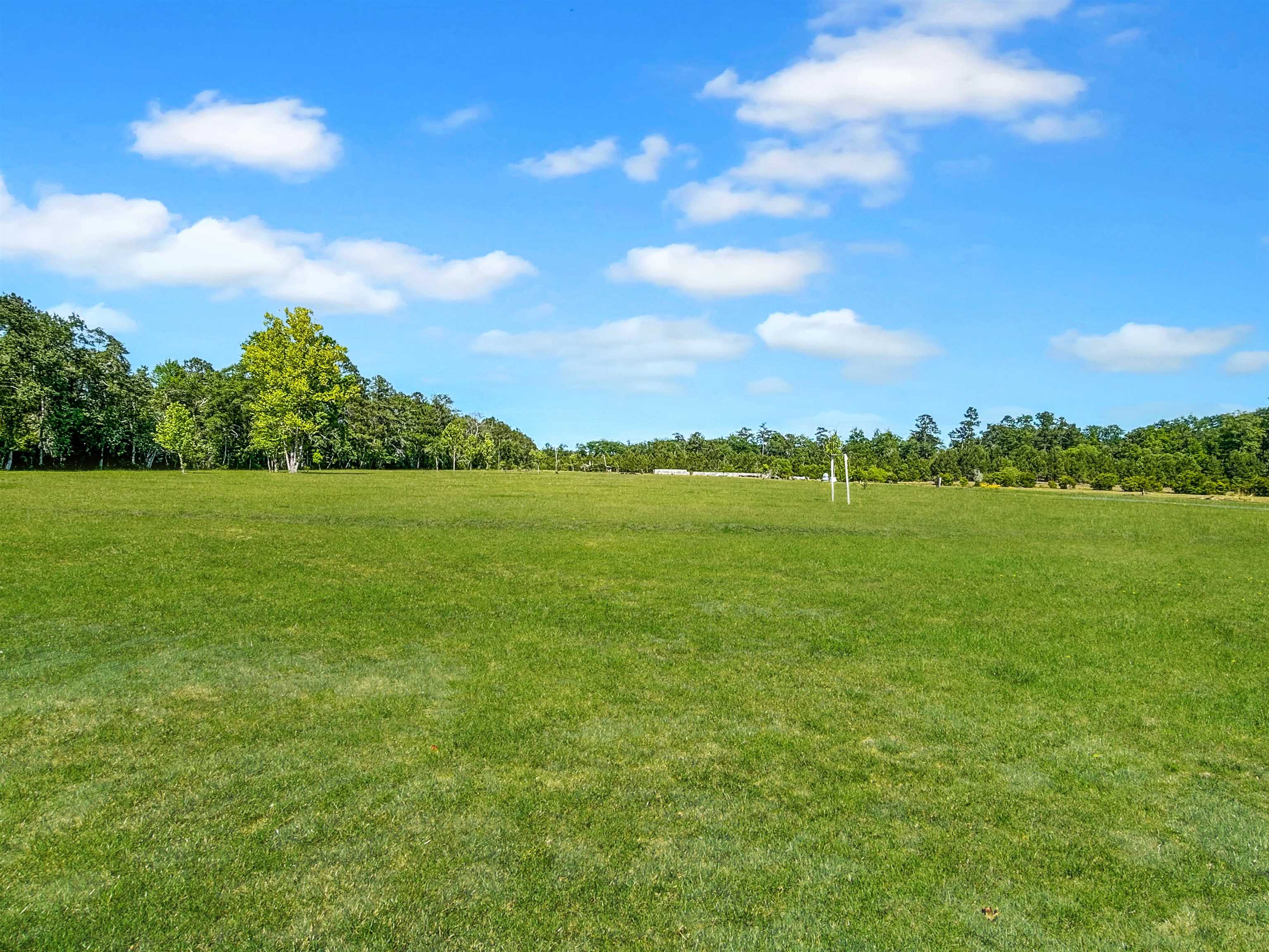 2614149 | Photo 25