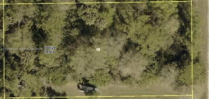 Lehigh Acres