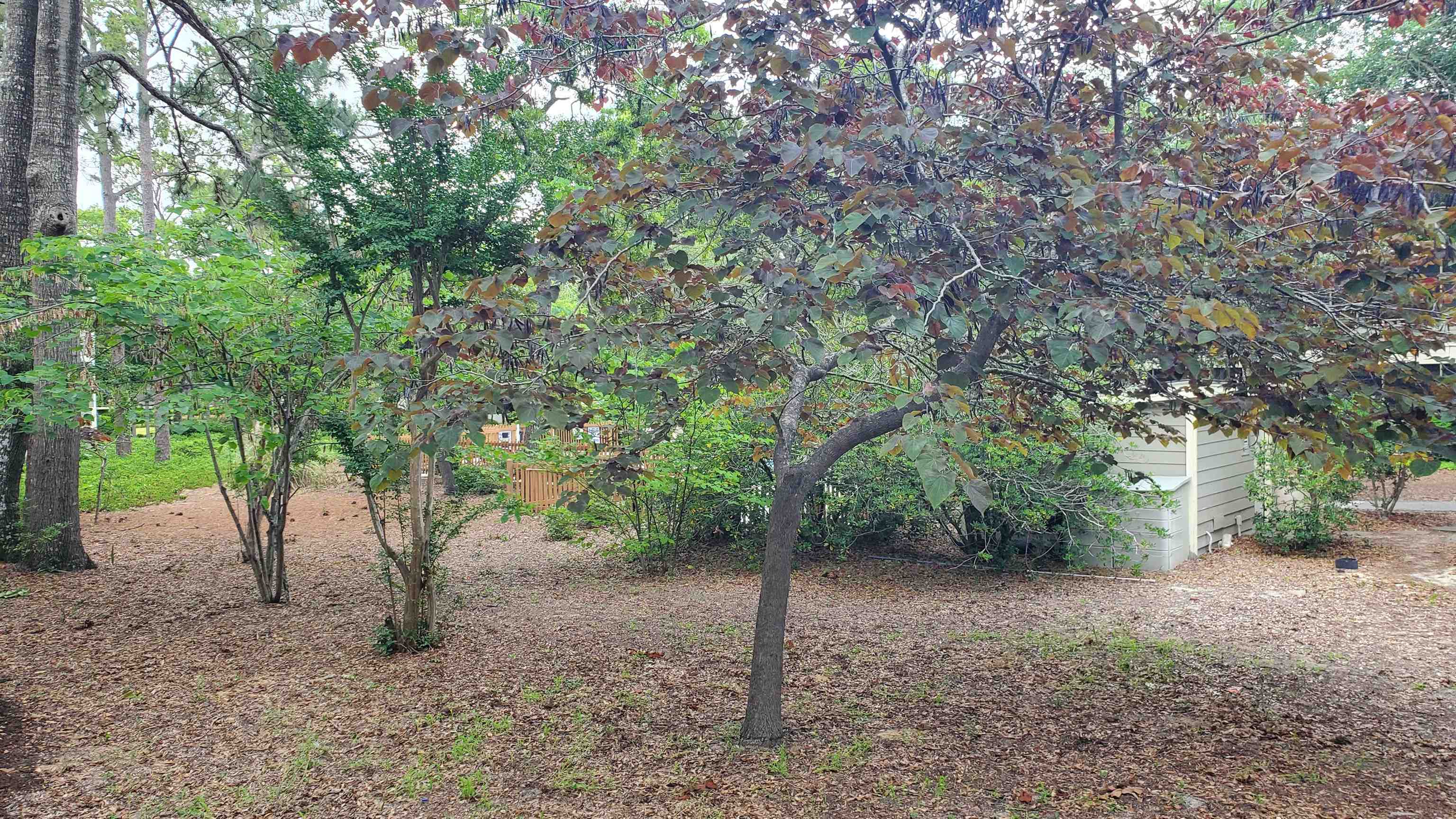 2614183 | Photo 10