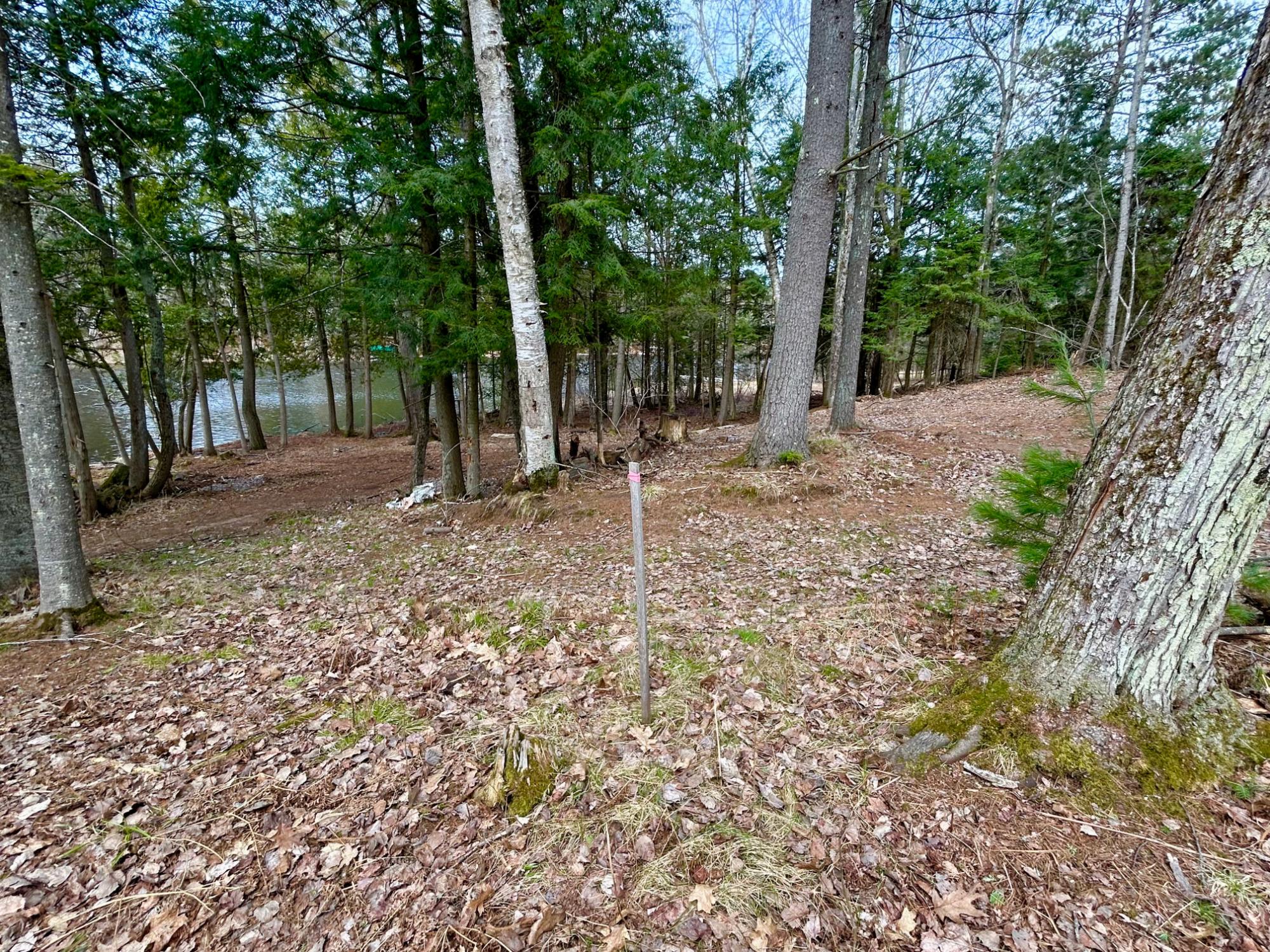 River Property Property Lot 6 Riverdale Ln Photo 18