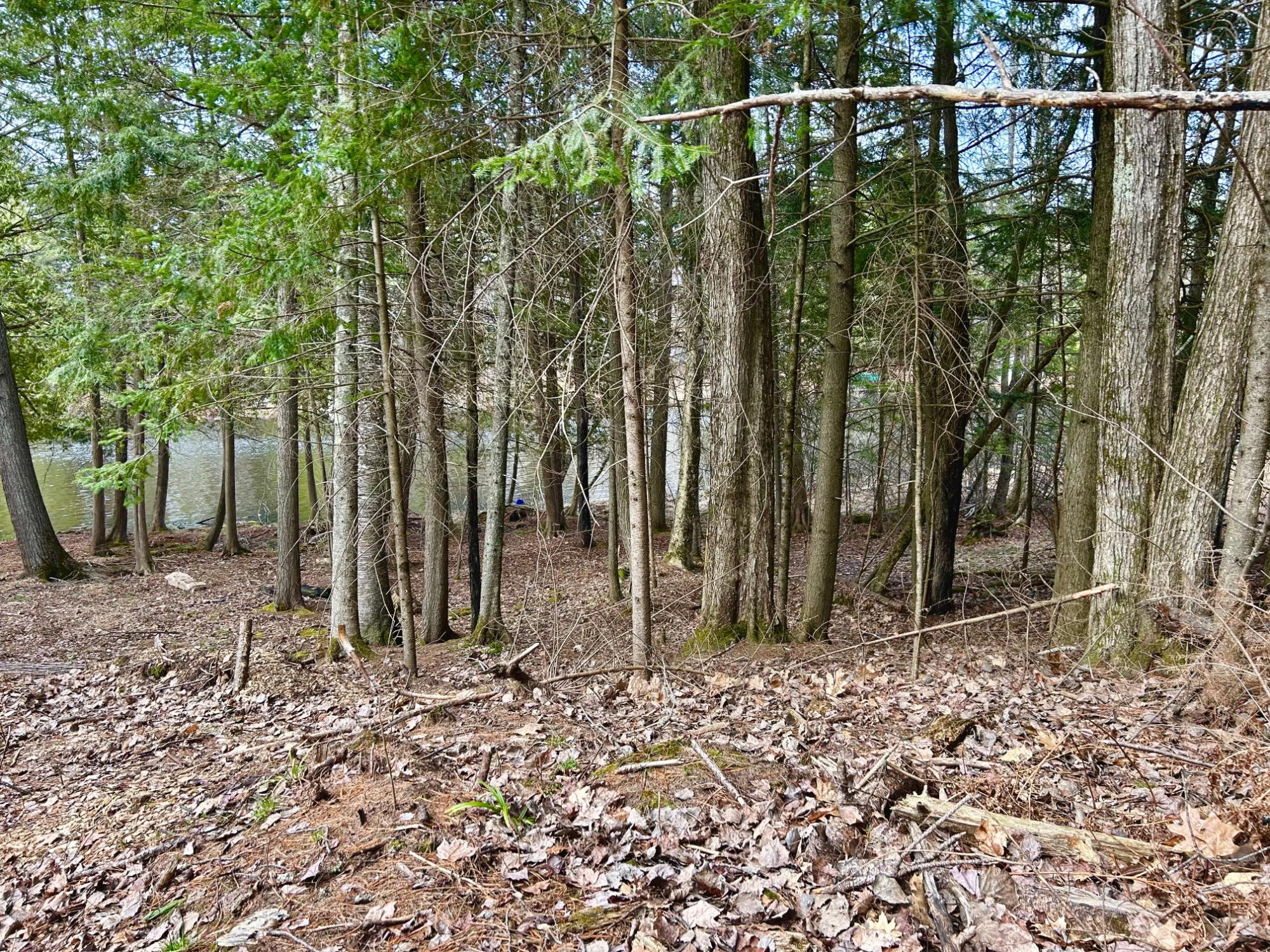River Property Property Lot 6 Riverdale Ln Photo 19
