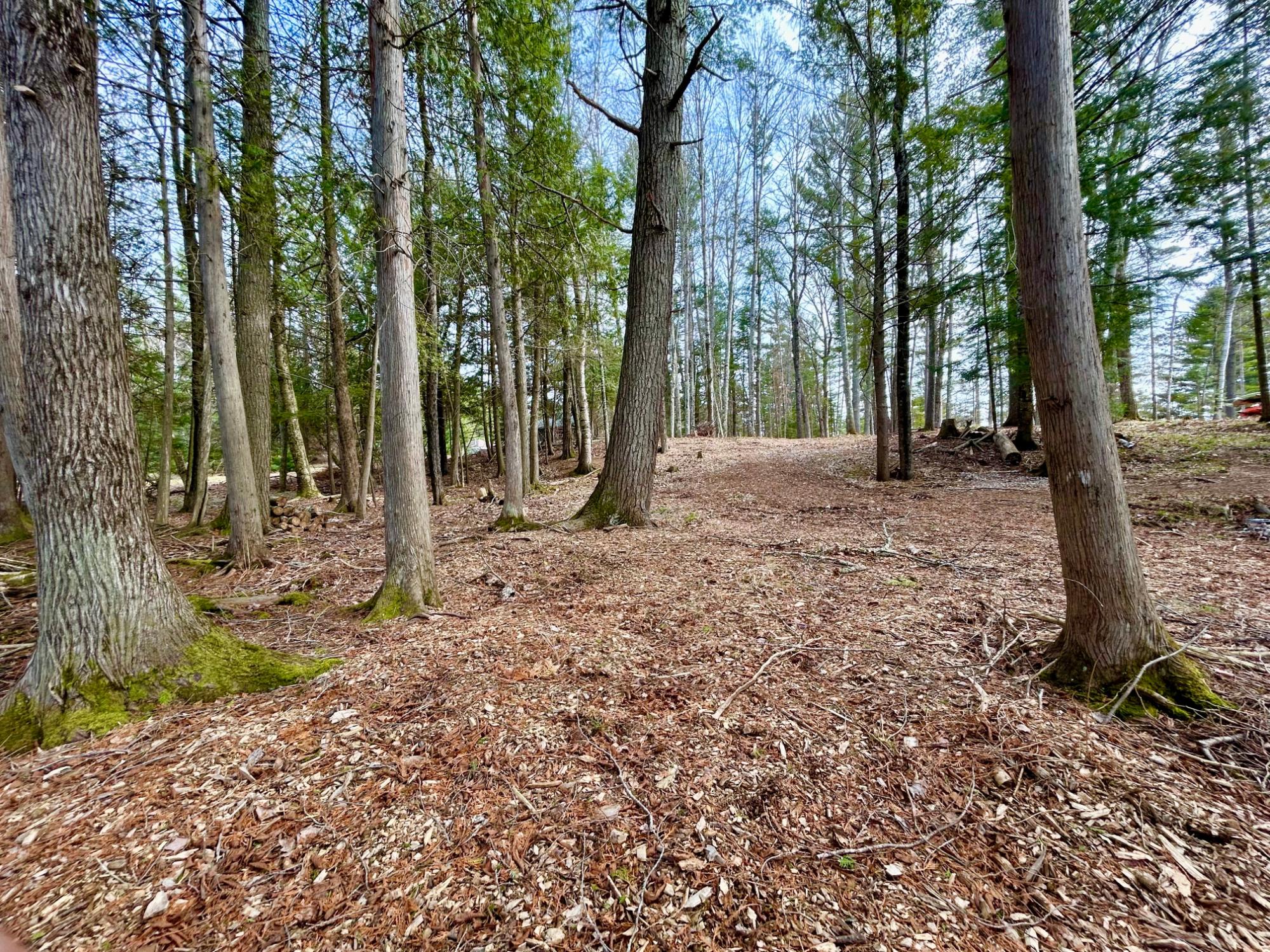 River Property Property Lot 6 Riverdale Ln Photo 20