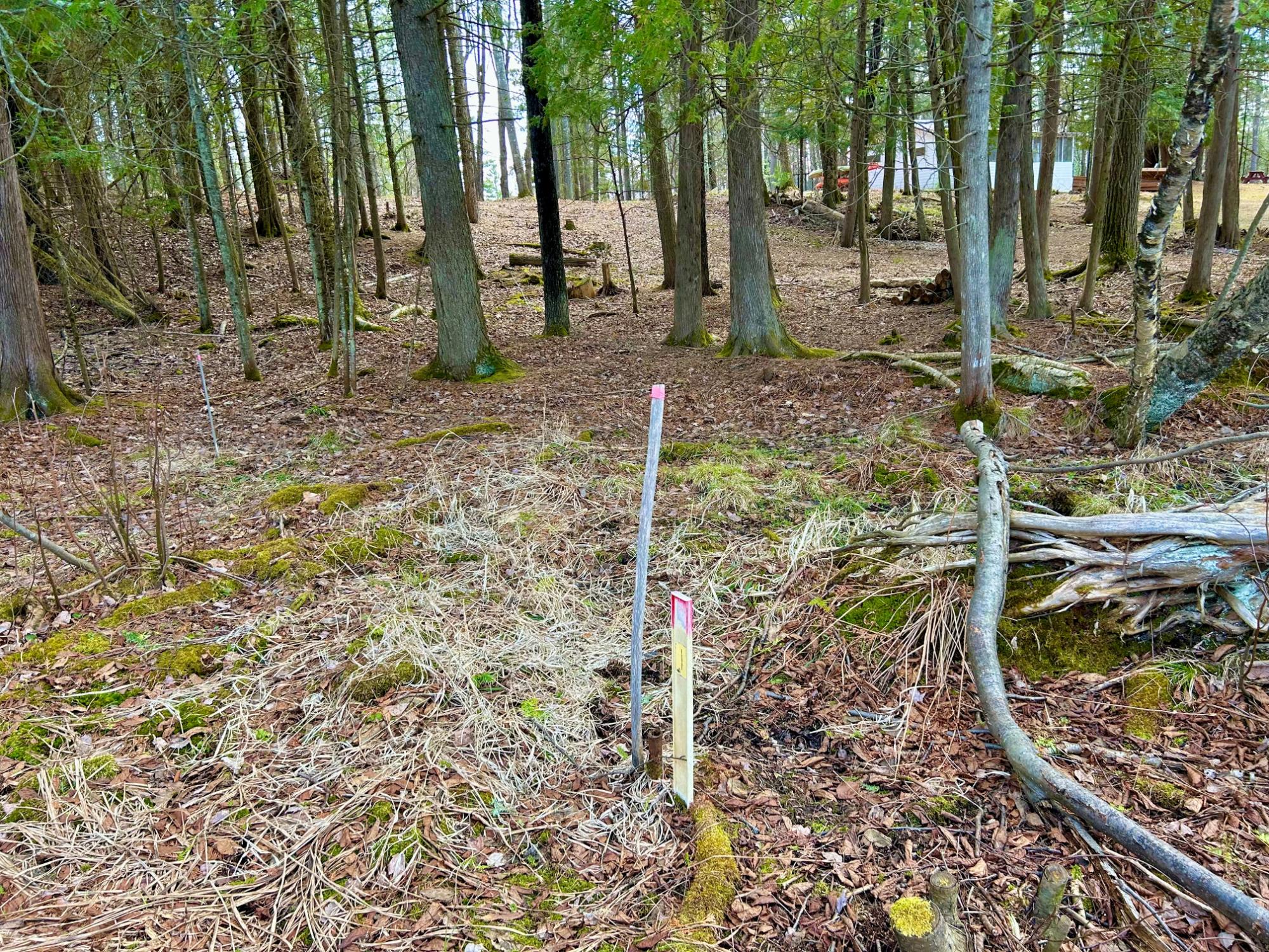 River Property Property Lot 6 Riverdale Ln Photo 21