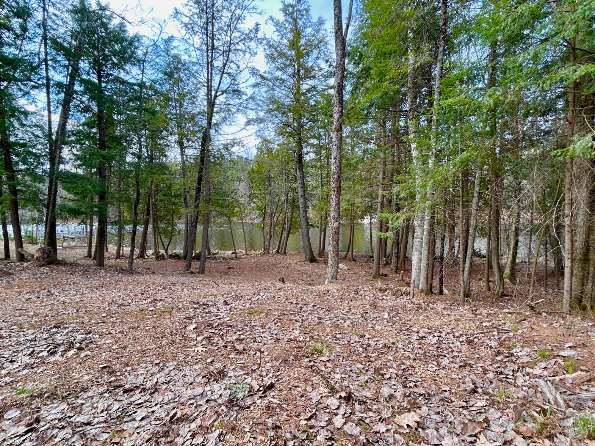 River Property Property Lot 6 Riverdale Ln Photo 3