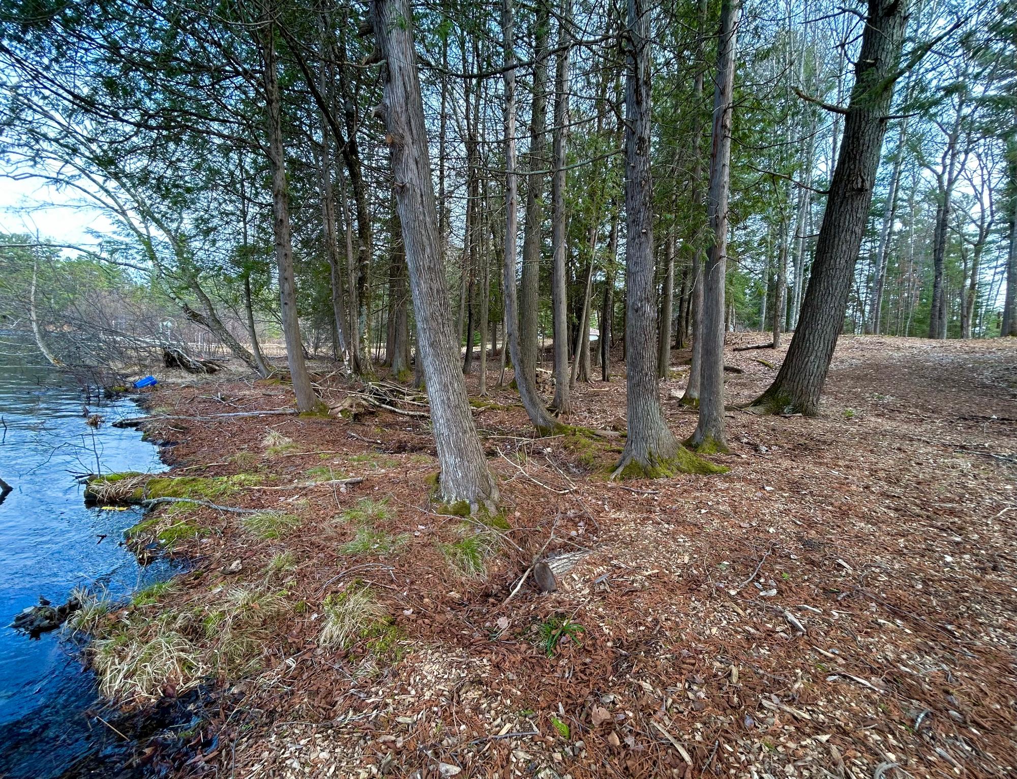 River Property Property Lot 6 Riverdale Ln Photo 4