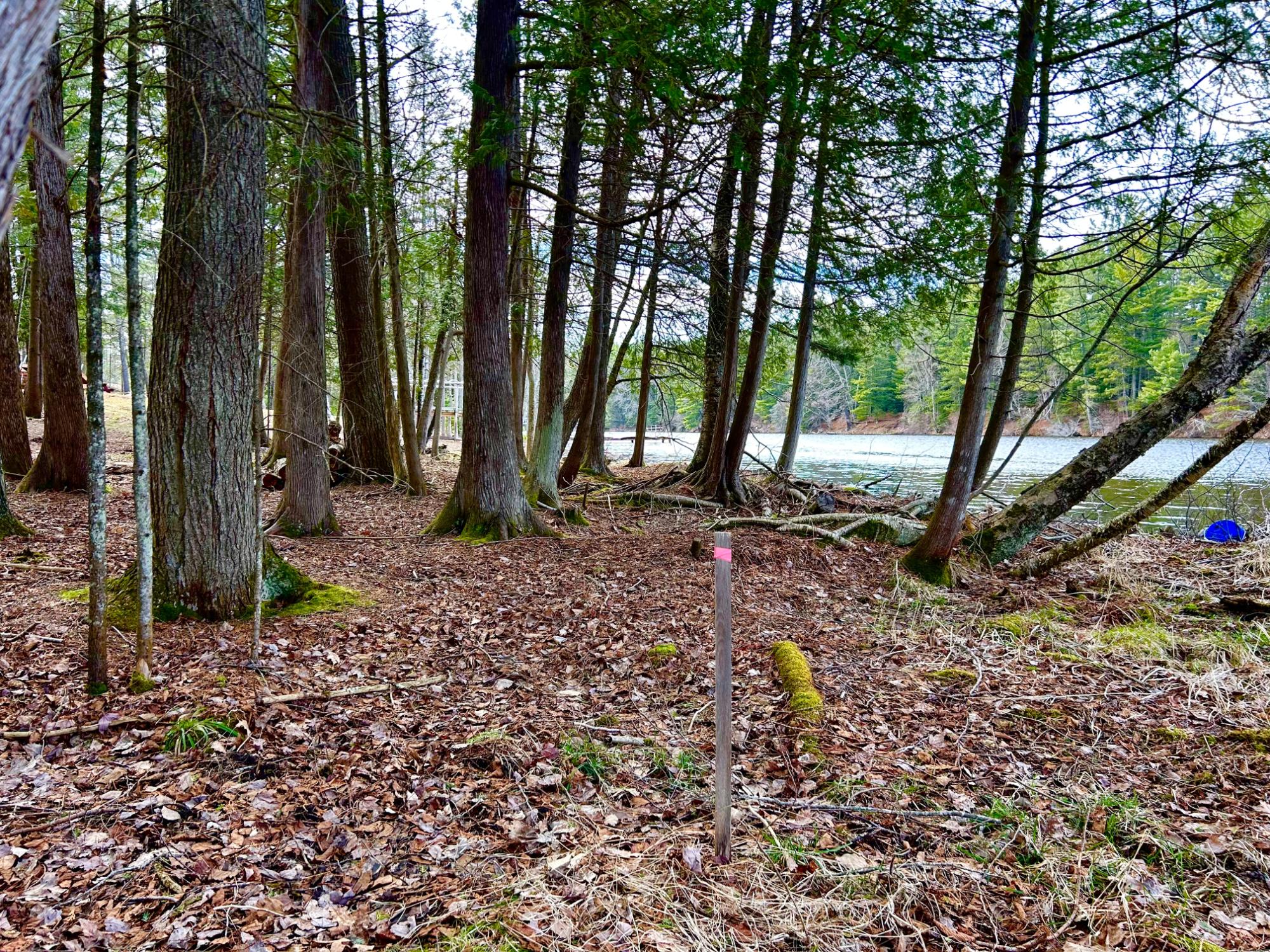 River Property Property Lot 6 Riverdale Ln Photo 7