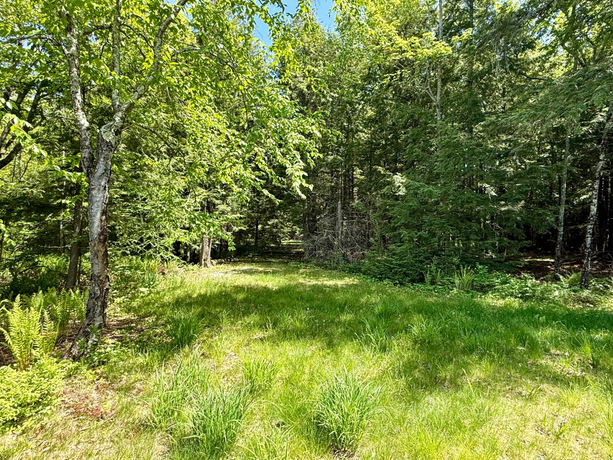 North Twin Lake Property Lot 1 Briggs Ln Photo 10