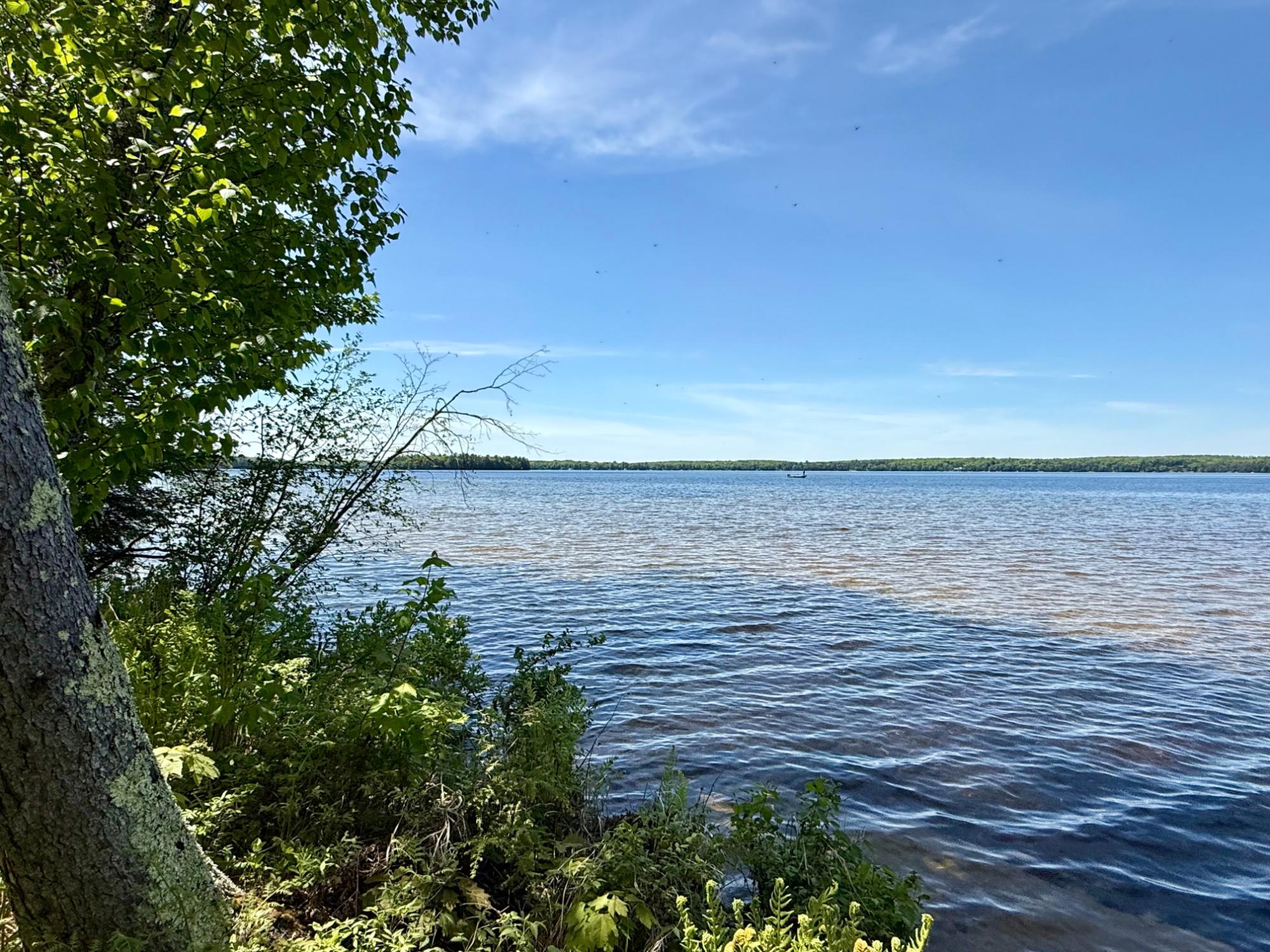 North Twin Lake Property Lot 1 Briggs Ln Photo 3