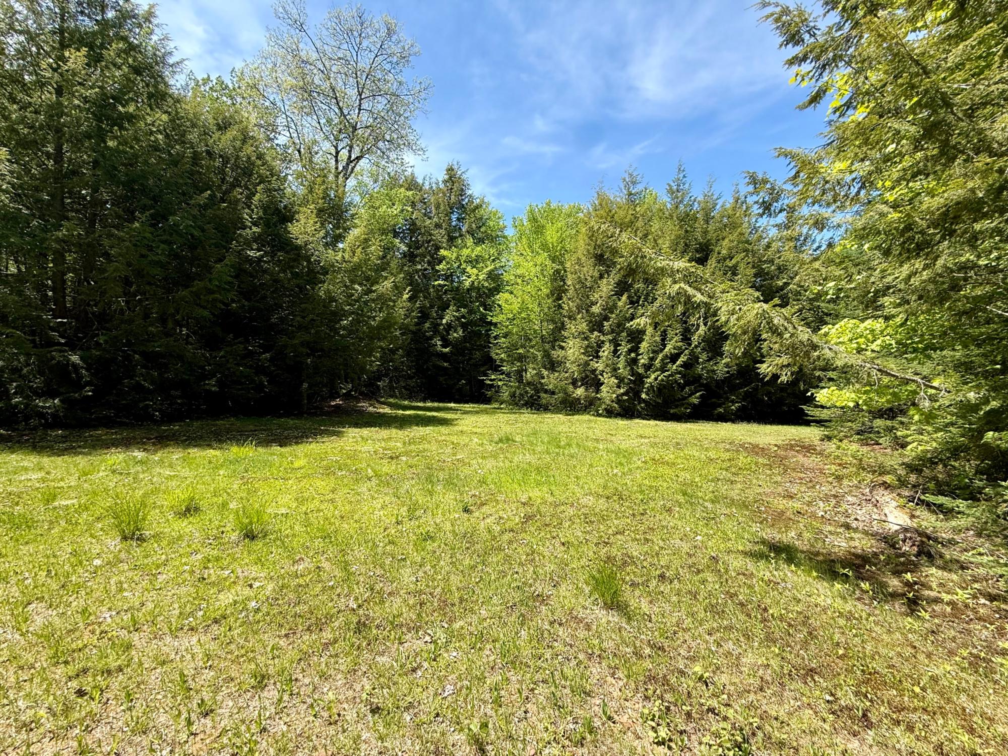 Undocumented Lake Property Lot 1 Briggs Ln Photo 4