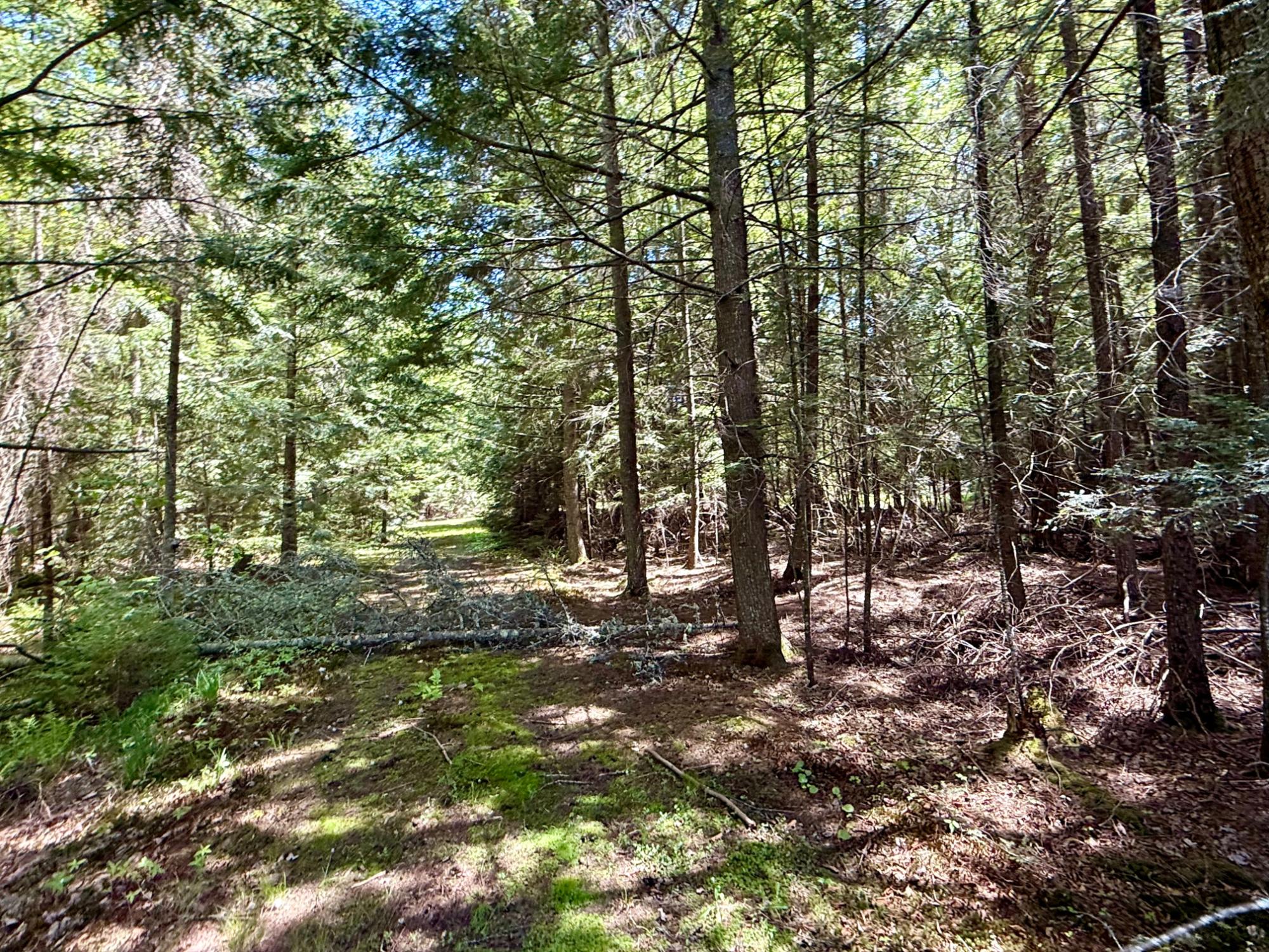 Undocumented Lake Property Lot 1 Briggs Ln Photo 5