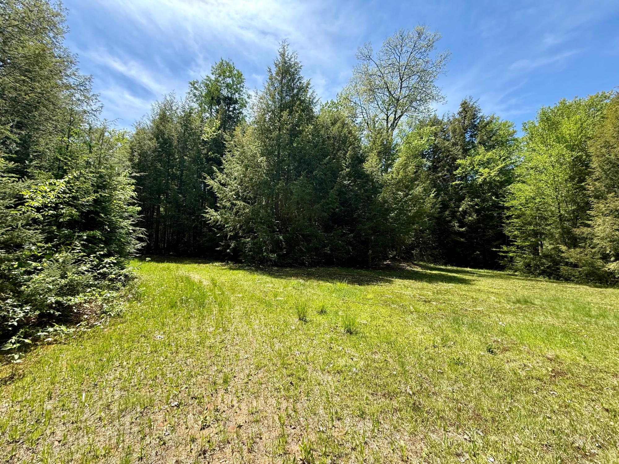 North Twin Lake Property Lot 1 Briggs Ln Photo 8