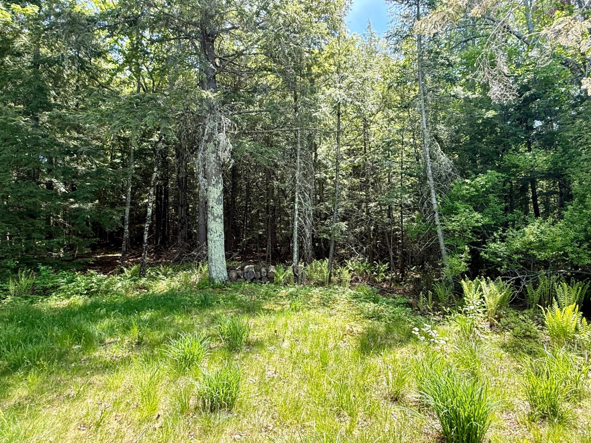 Undocumented Lake Property Lot 1 Briggs Ln Photo 9