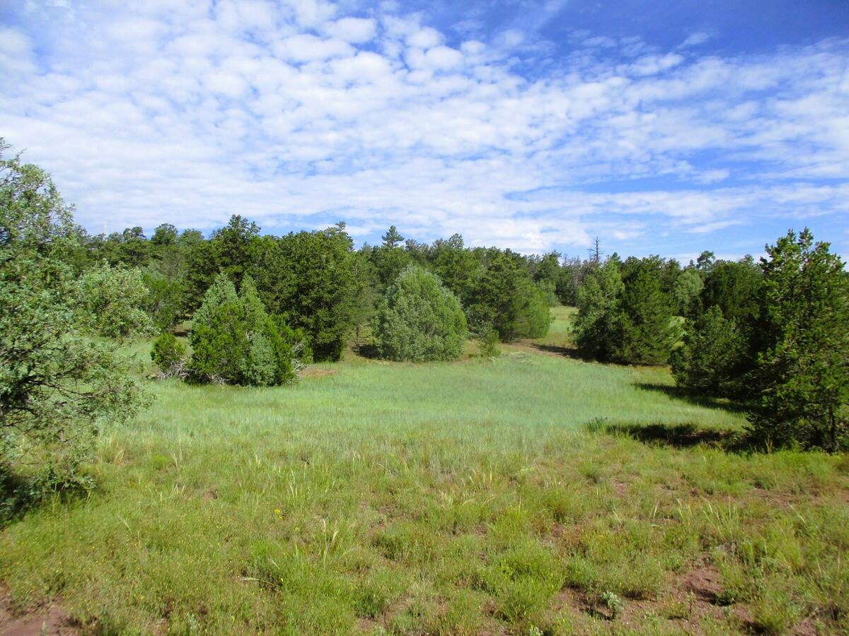 1st image of Lots 5 & 6 Black Bear Rd, Ramah, NM 87321 | MLS# 1104781
