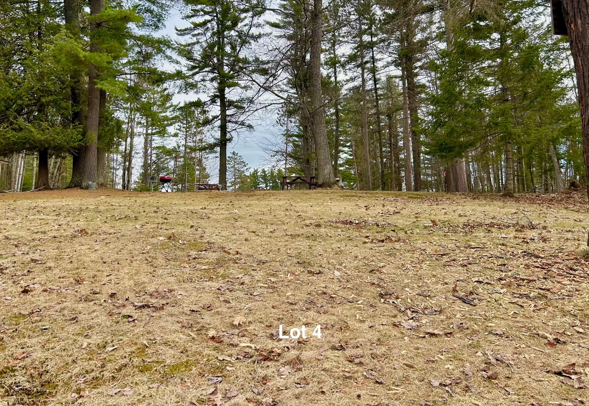 River Property Property Lot 7 Riverdale Ln Photo 9