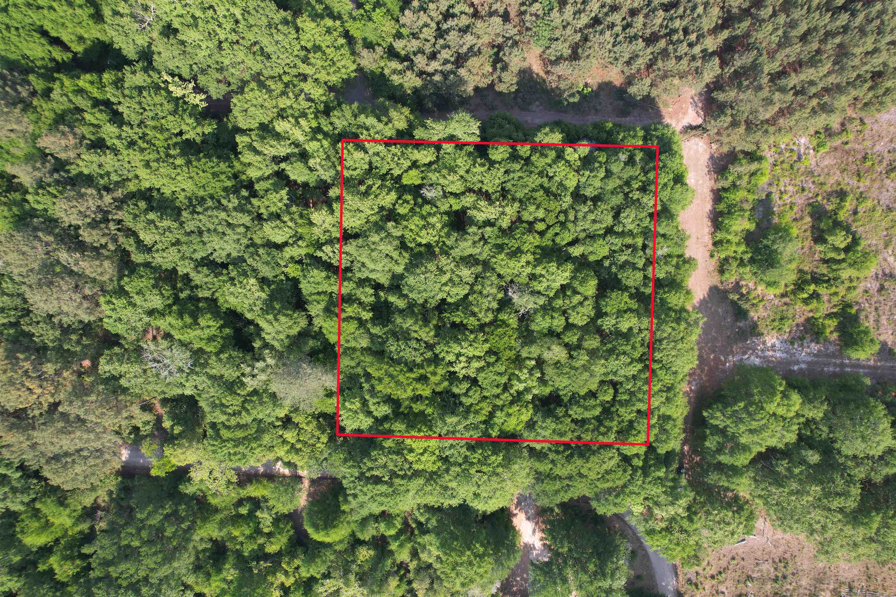 TBD Aldrich St Se Salley, SC 29137