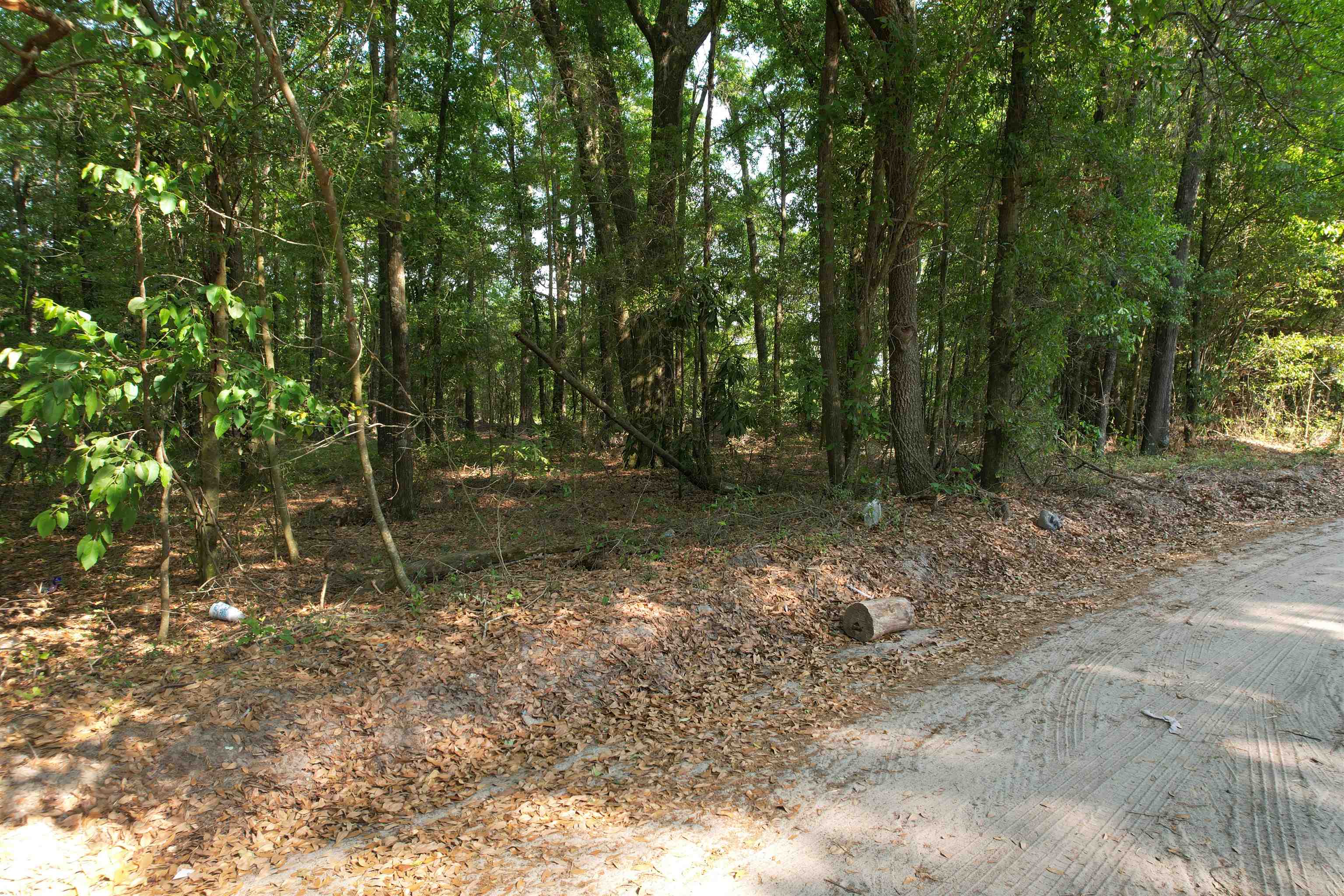 2614495 | Photo 2