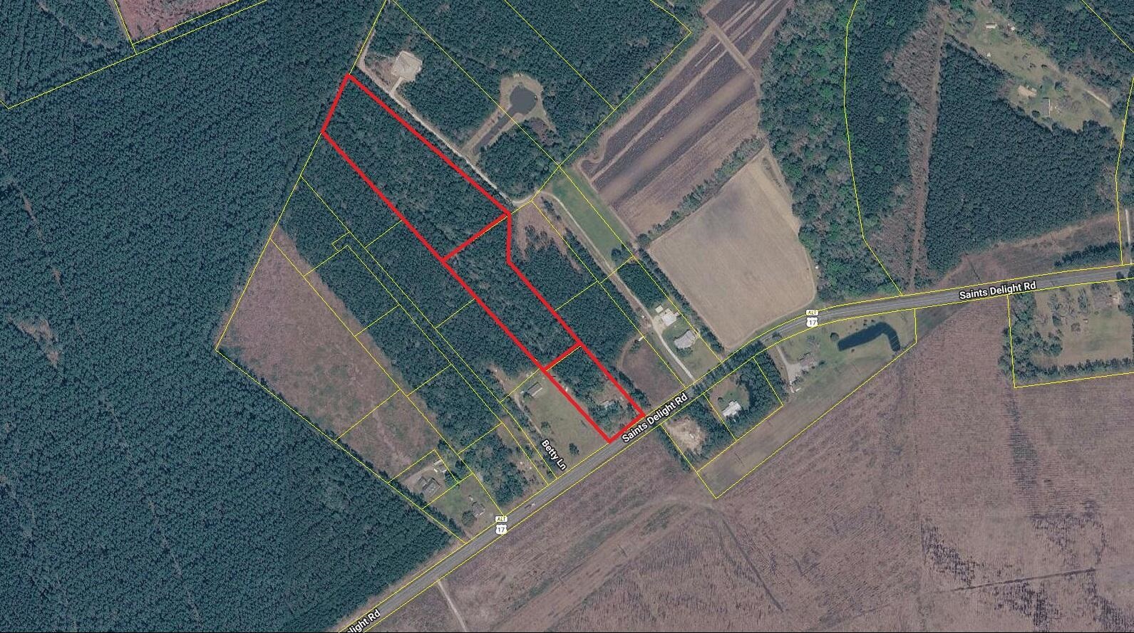 6222 Saints Delight Rd. Georgetown, SC 29440