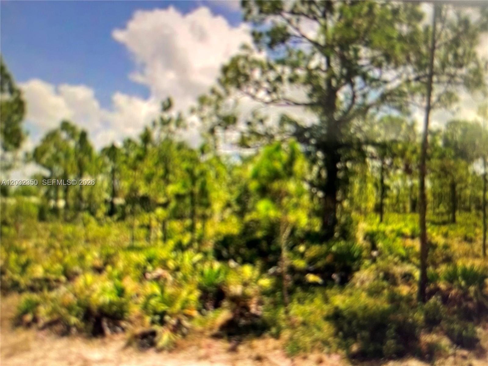 Tropical Gulf Acres
