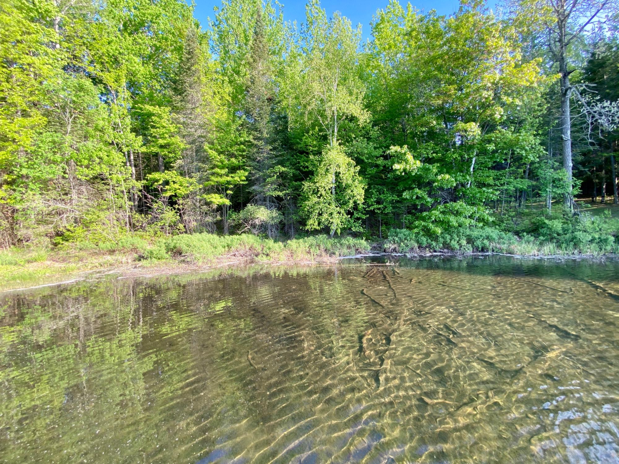 Red Lake Property 7002 Crab Lake Rd Photo 16