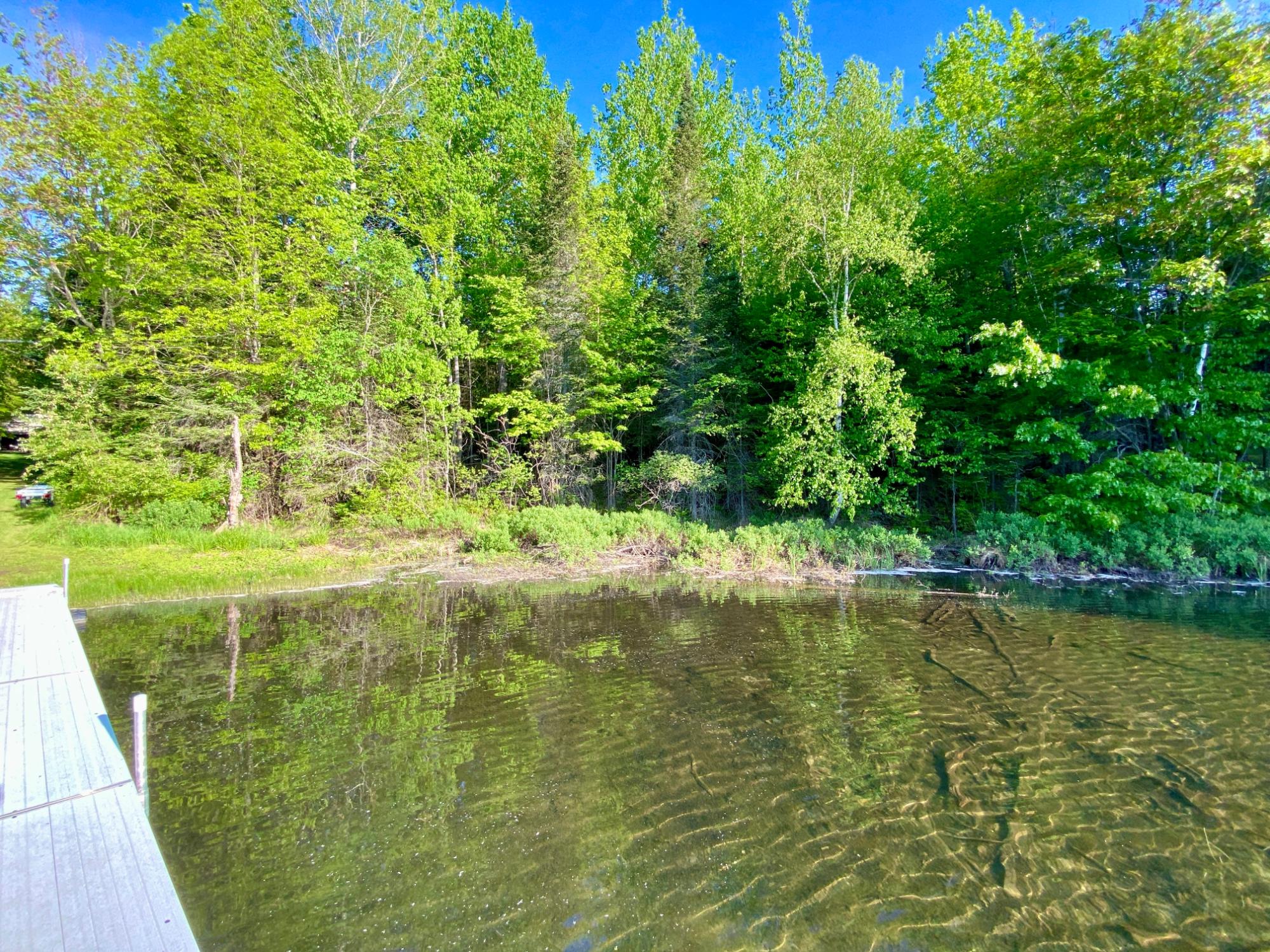 Red Lake Property 7002 Crab Lake Rd Photo 17