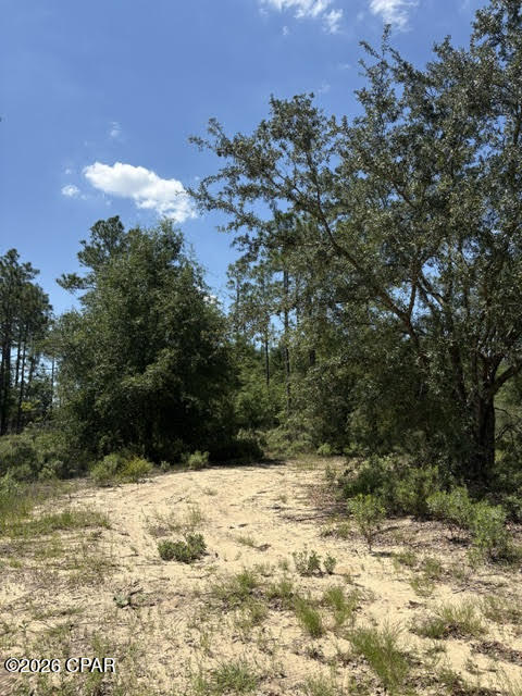 Homes for sale in Alford, FL | 000 Pasofino Ln #B-3, Alford, FL 32420 | MLS# 790944