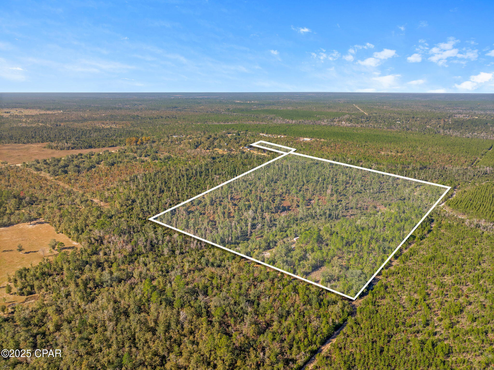 64 Acres NW County Road 274, Altha, FL 32421