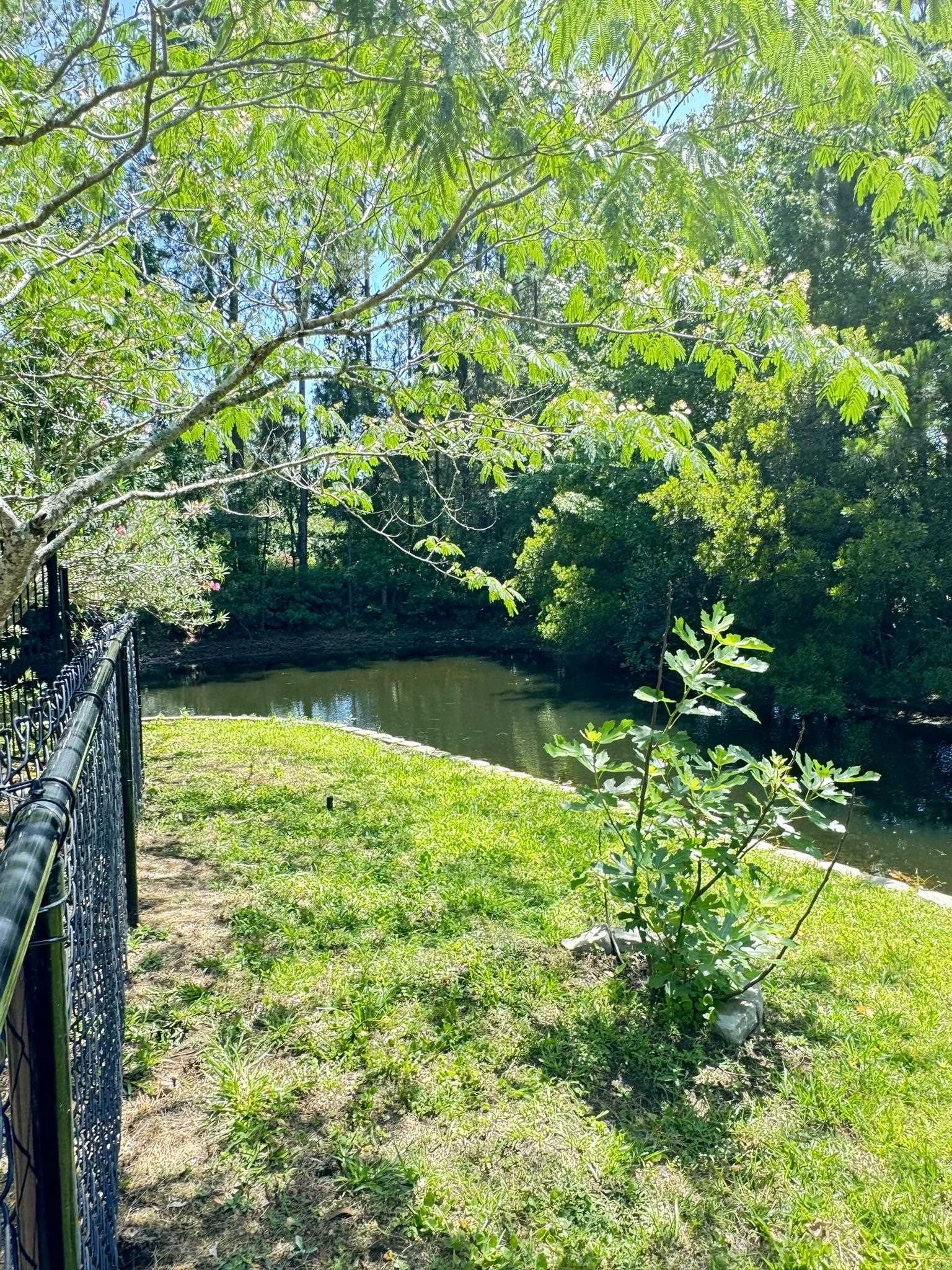 2614686 | Photo 24
