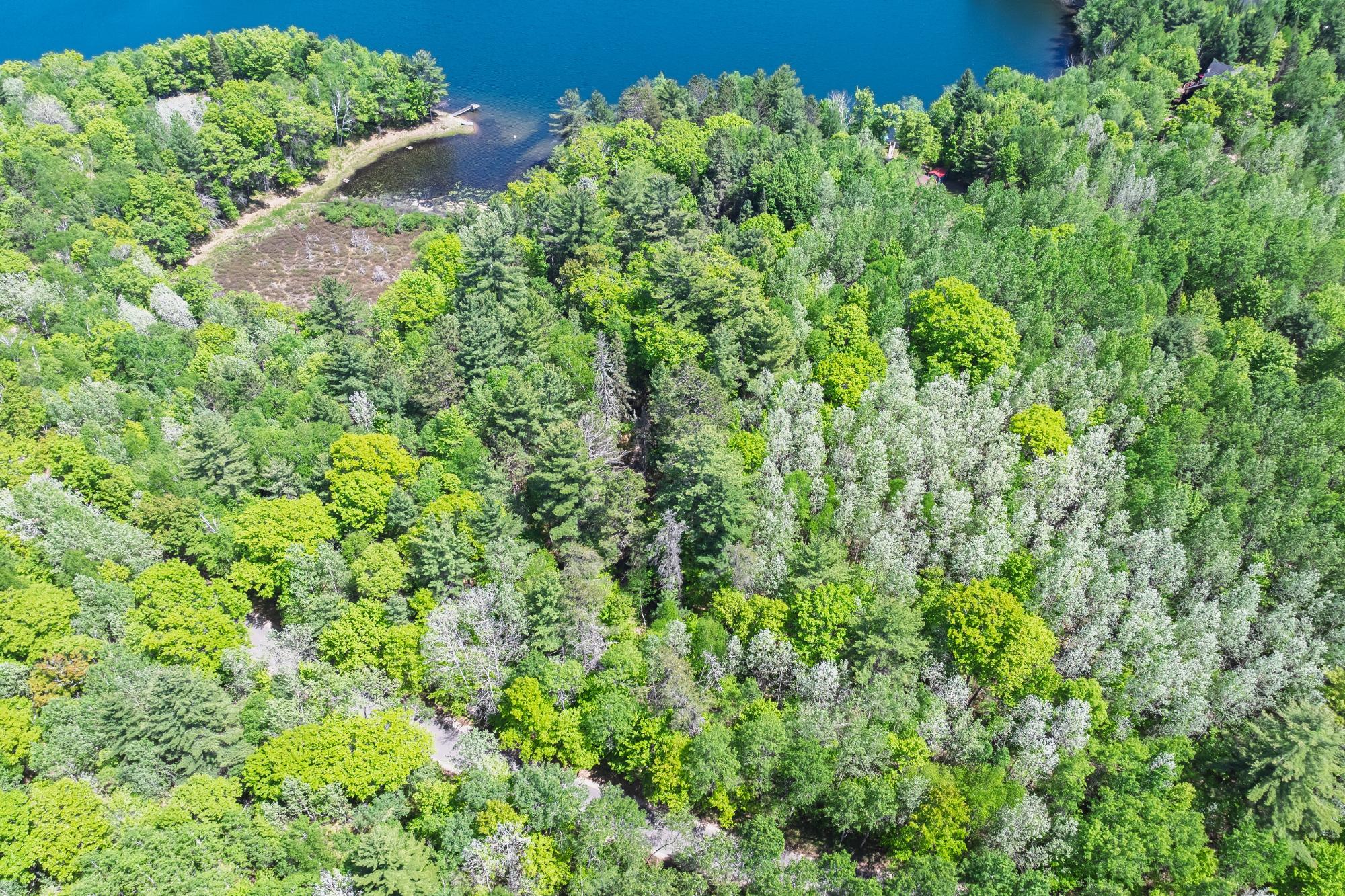 Perch Lake ER Property 1210 Deer Trail Ln Photo 41