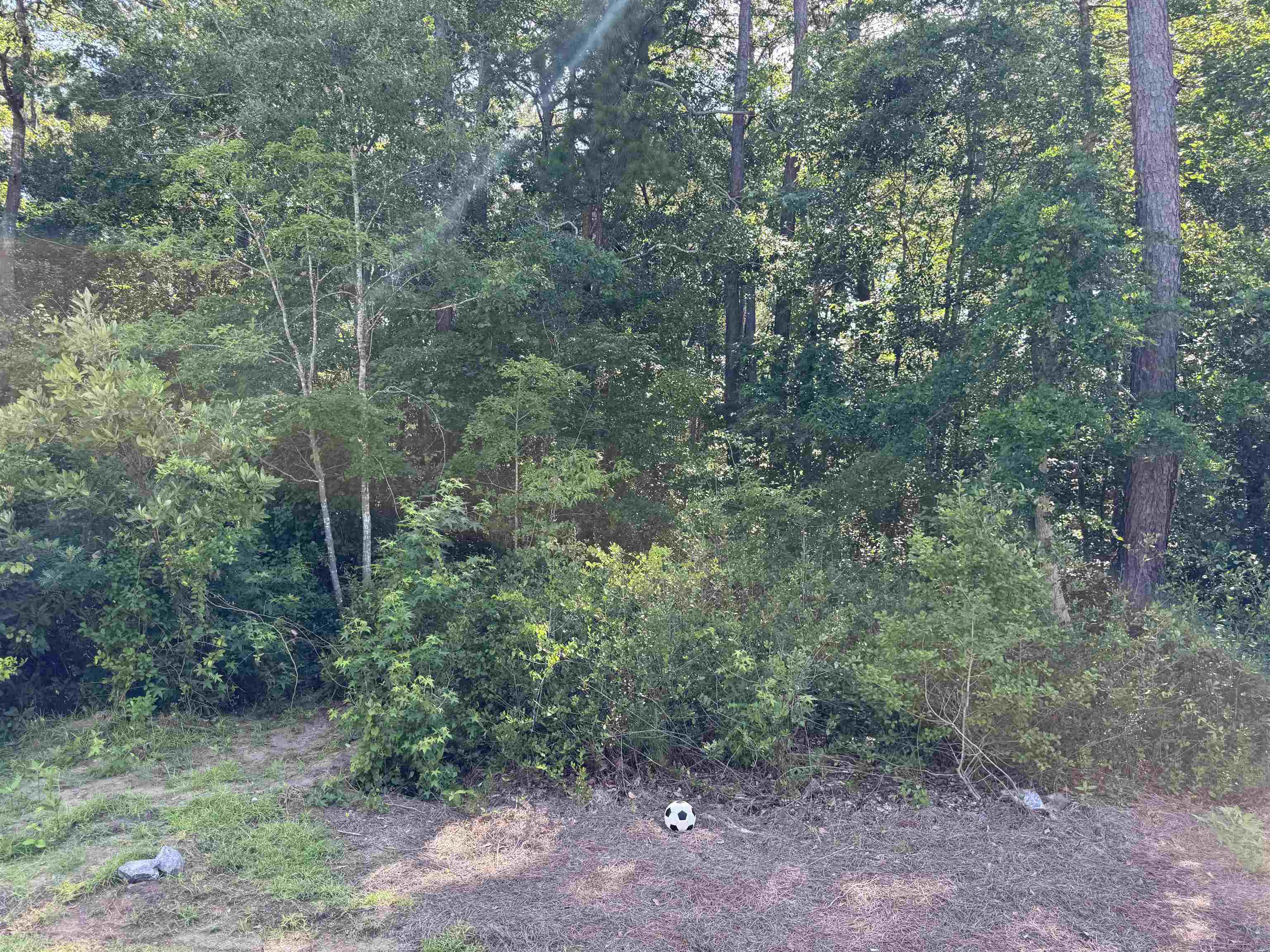2614772 | Photo 28