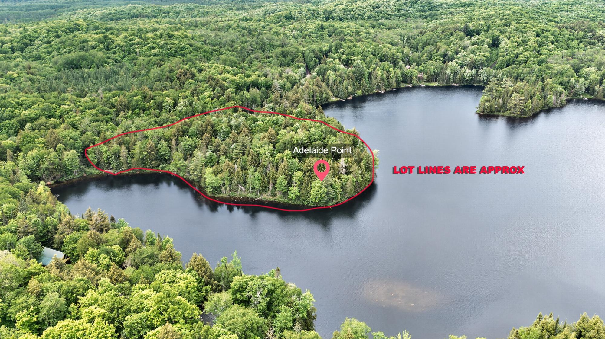 Lake Adelaide Property ON Adelaide Dr Photo 3
