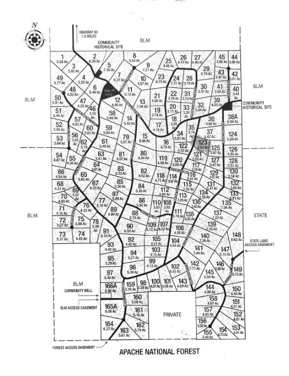 Photo 13 — 43 Brook Boulevard