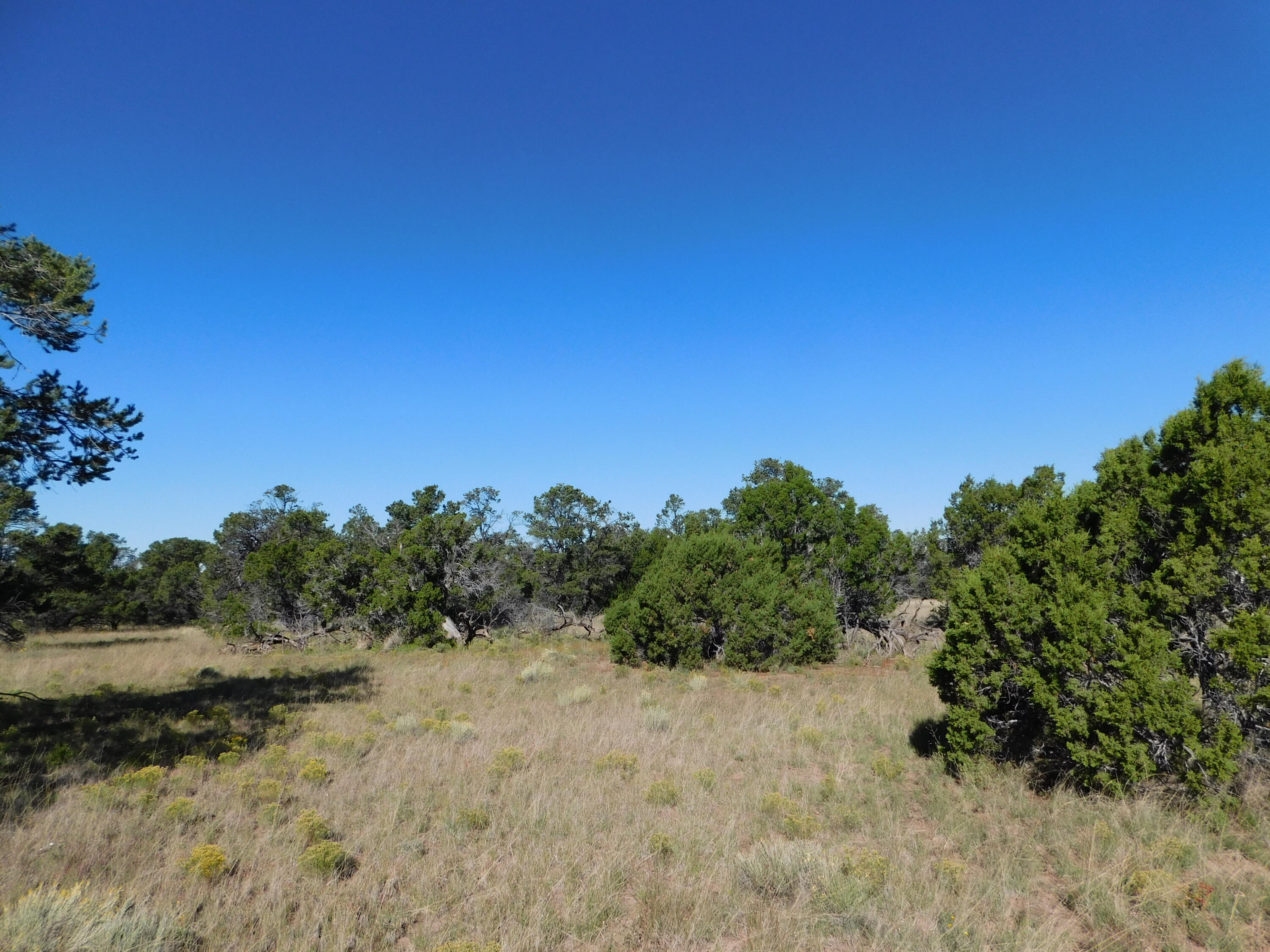 Homes for sale in Quemado, NM | 43 Brook Blvd, Quemado, NM 87829 | MLS# 1105156