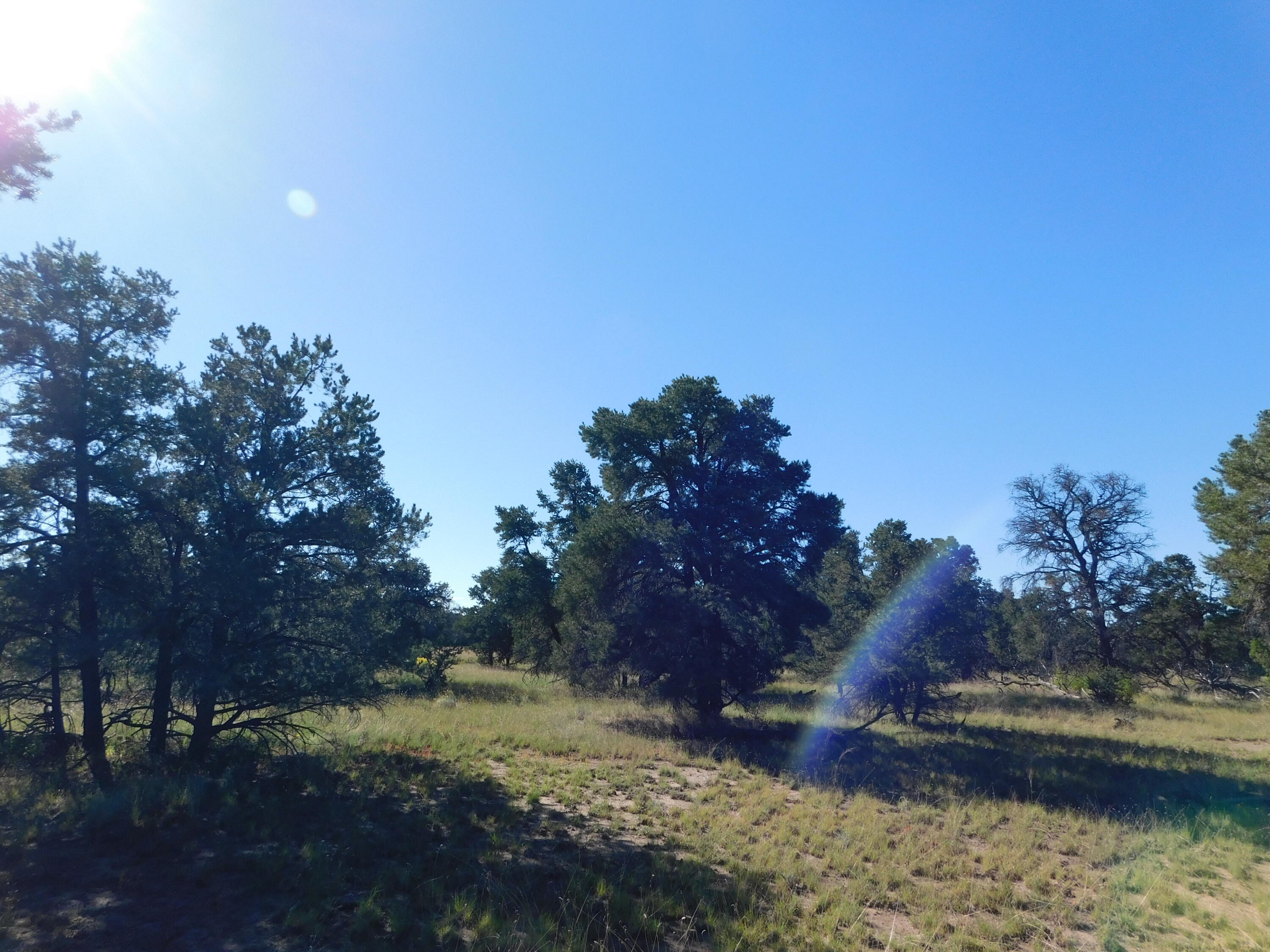 Homes for sale in Quemado, NM | 43 Brook Blvd, Quemado, NM 87829 | MLS# 1105156
