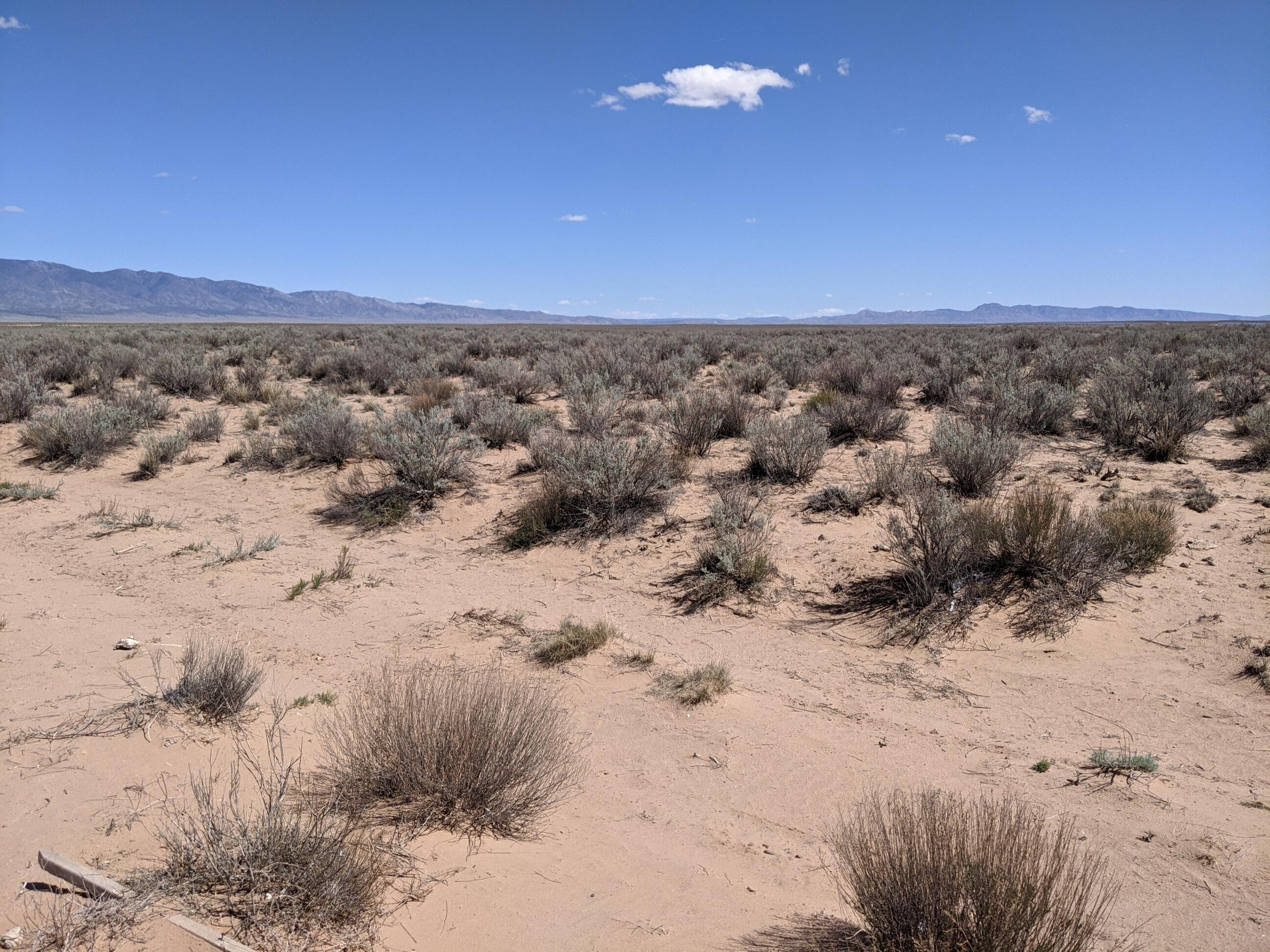Photo 5 —  Rio Grande Estates Lot 23 & 24