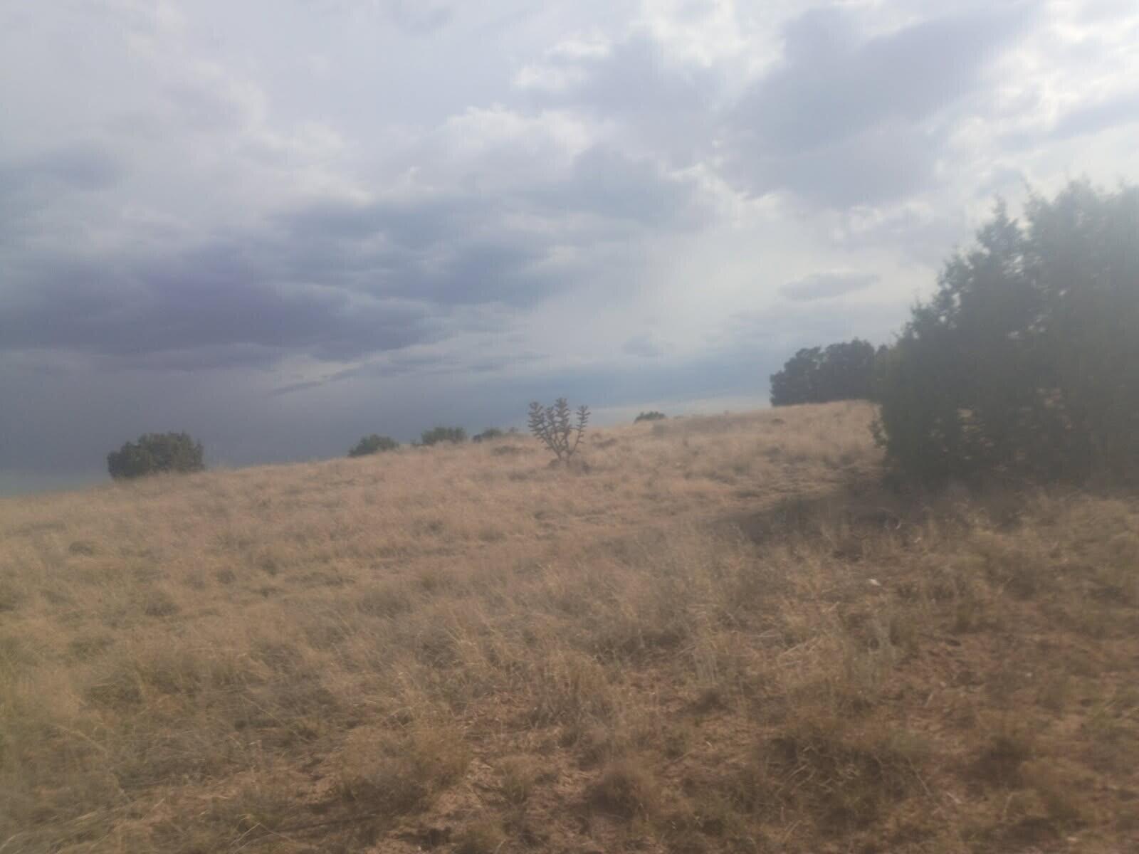 Photo 1 of Sale Pending at Lot 25 B Cassandra Ct, Moriarty, NM 87035 | MLS# 1105177 | Listing updated on 2026-10-11