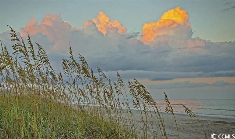 2614827 | Photo 28