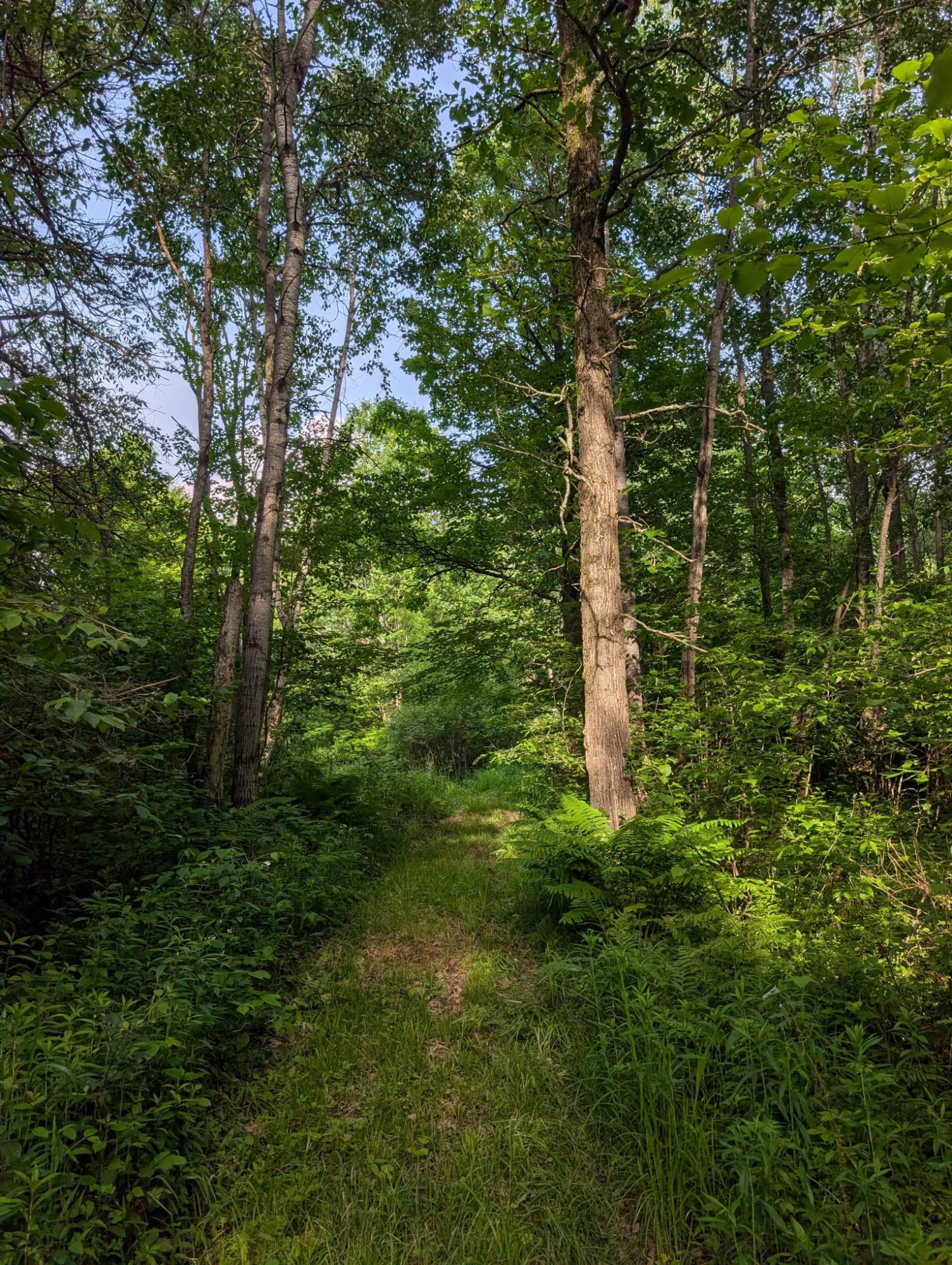 River Property Property W10429 West Forest Ln Photo 59