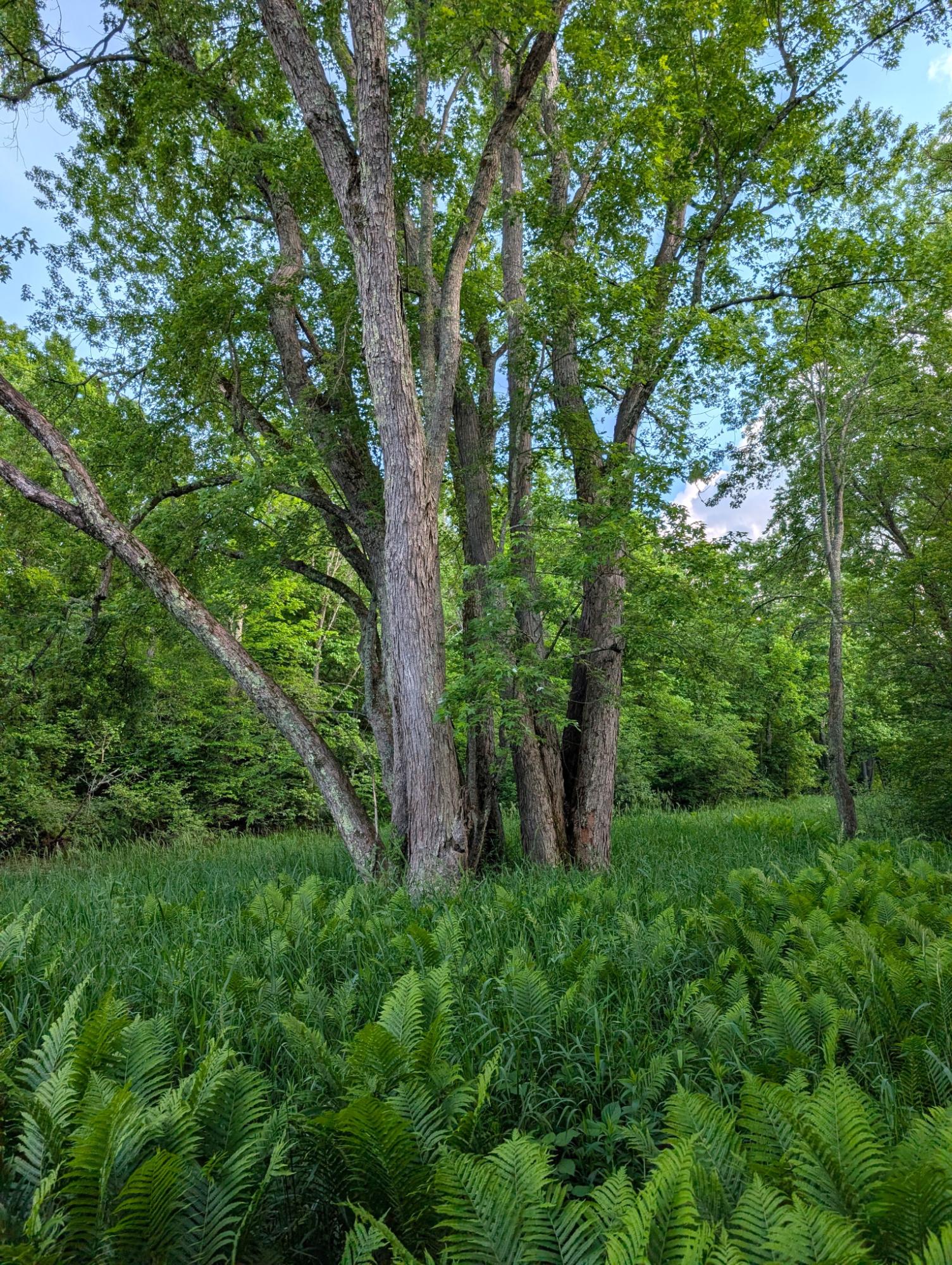 River Property Property W10429 West Forest Ln Photo 79