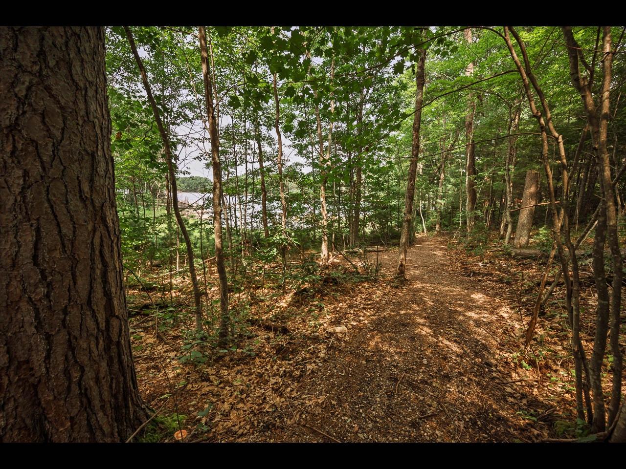 South Two Lake Property ON Bluebird Rd W Photo 9